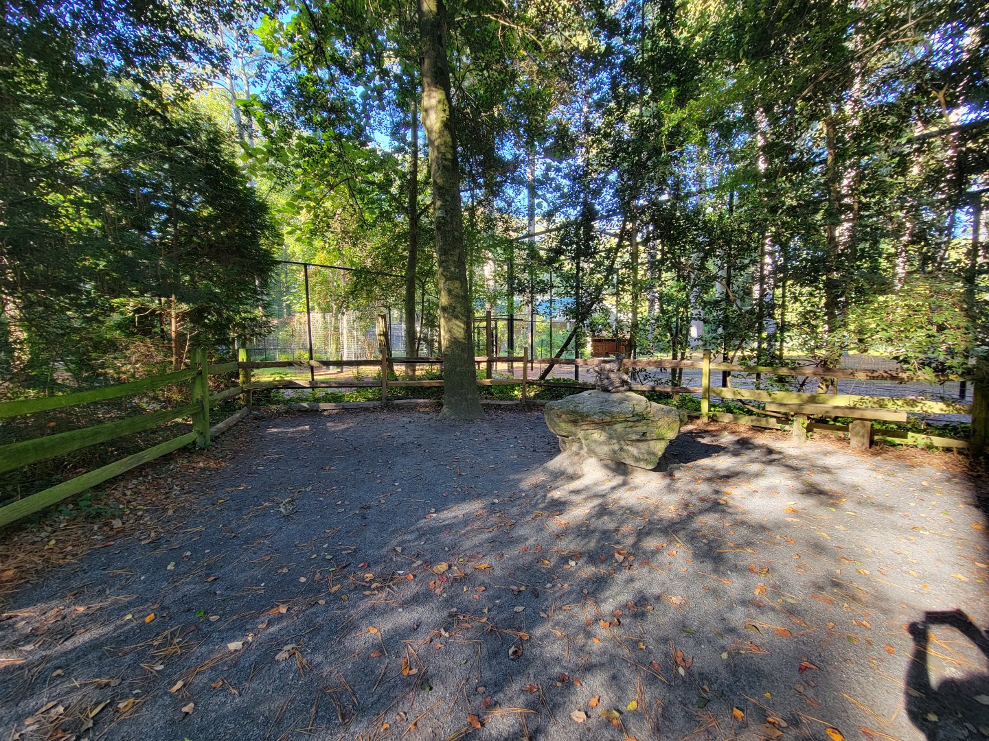 Salisbury Zoo - White-tail exhibit on left, bald eagle on right