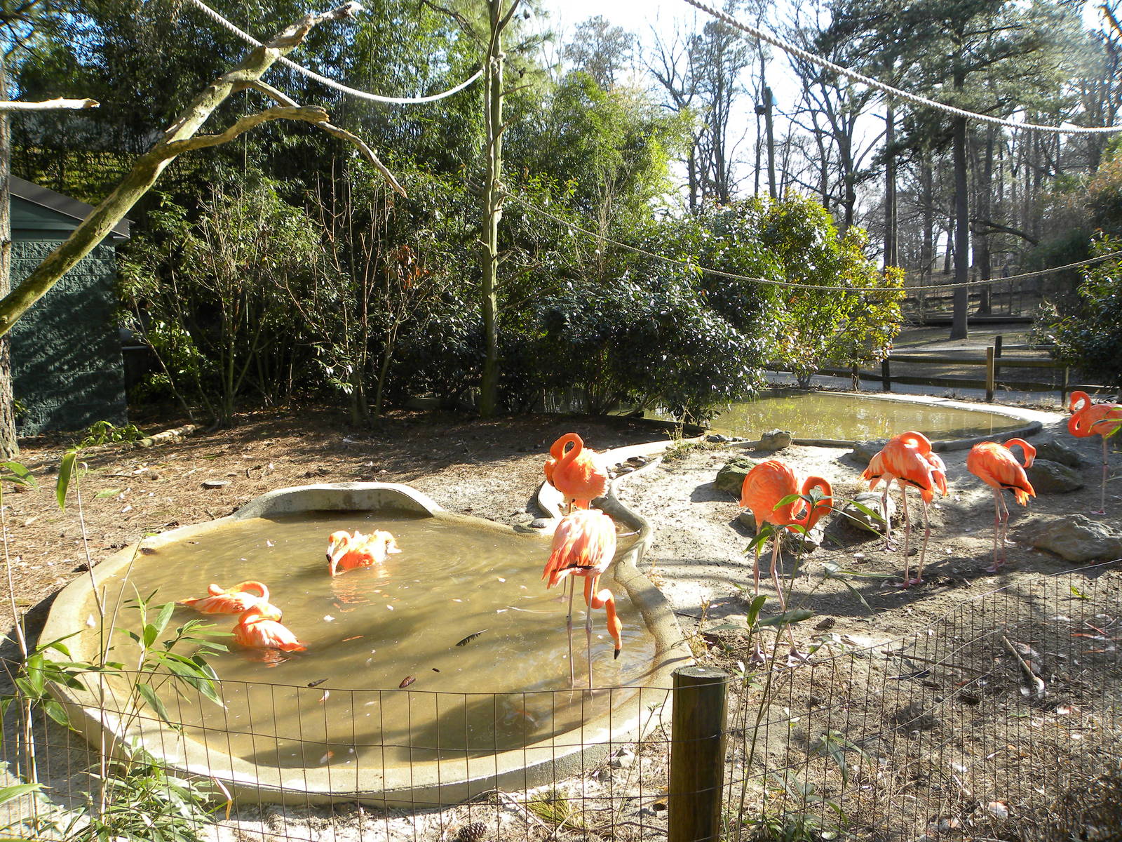 Salisbury Zoo