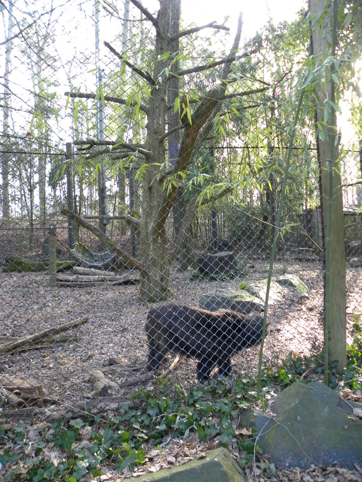 Salisbury Zoo