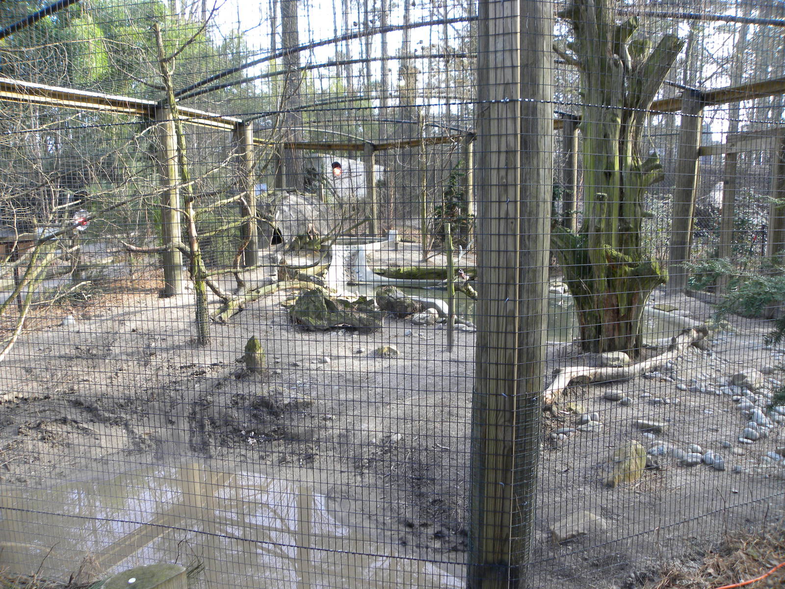 Salisbury Zoo