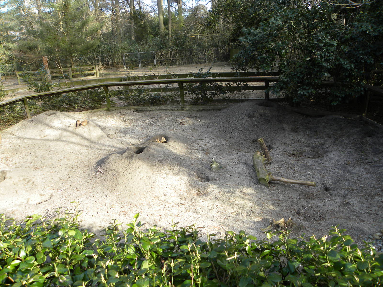 Salisbury Zoo