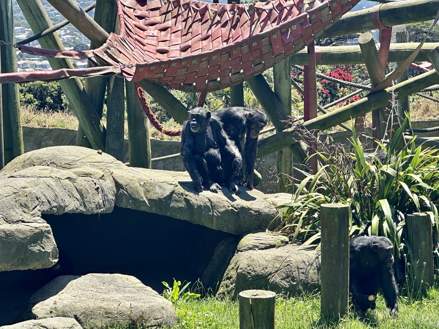 Sally, Kitwe and Bakari