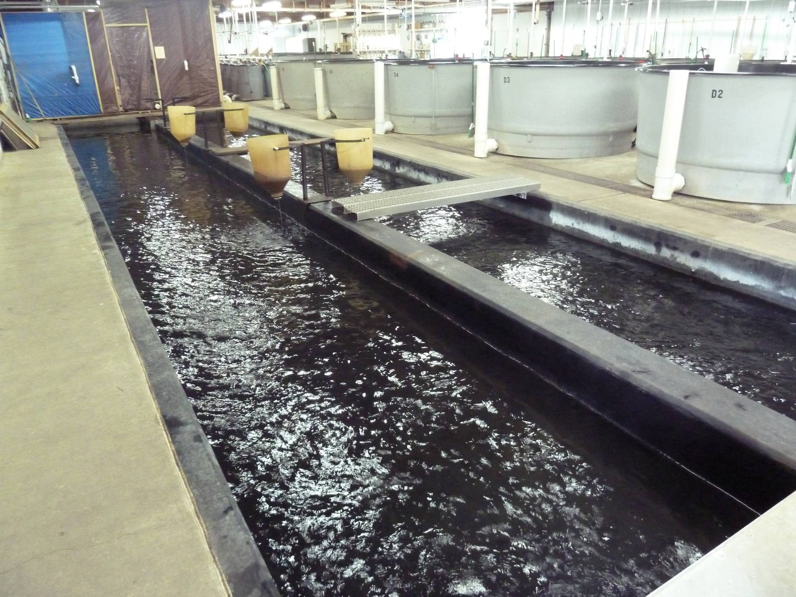 Salmon Building - Interior