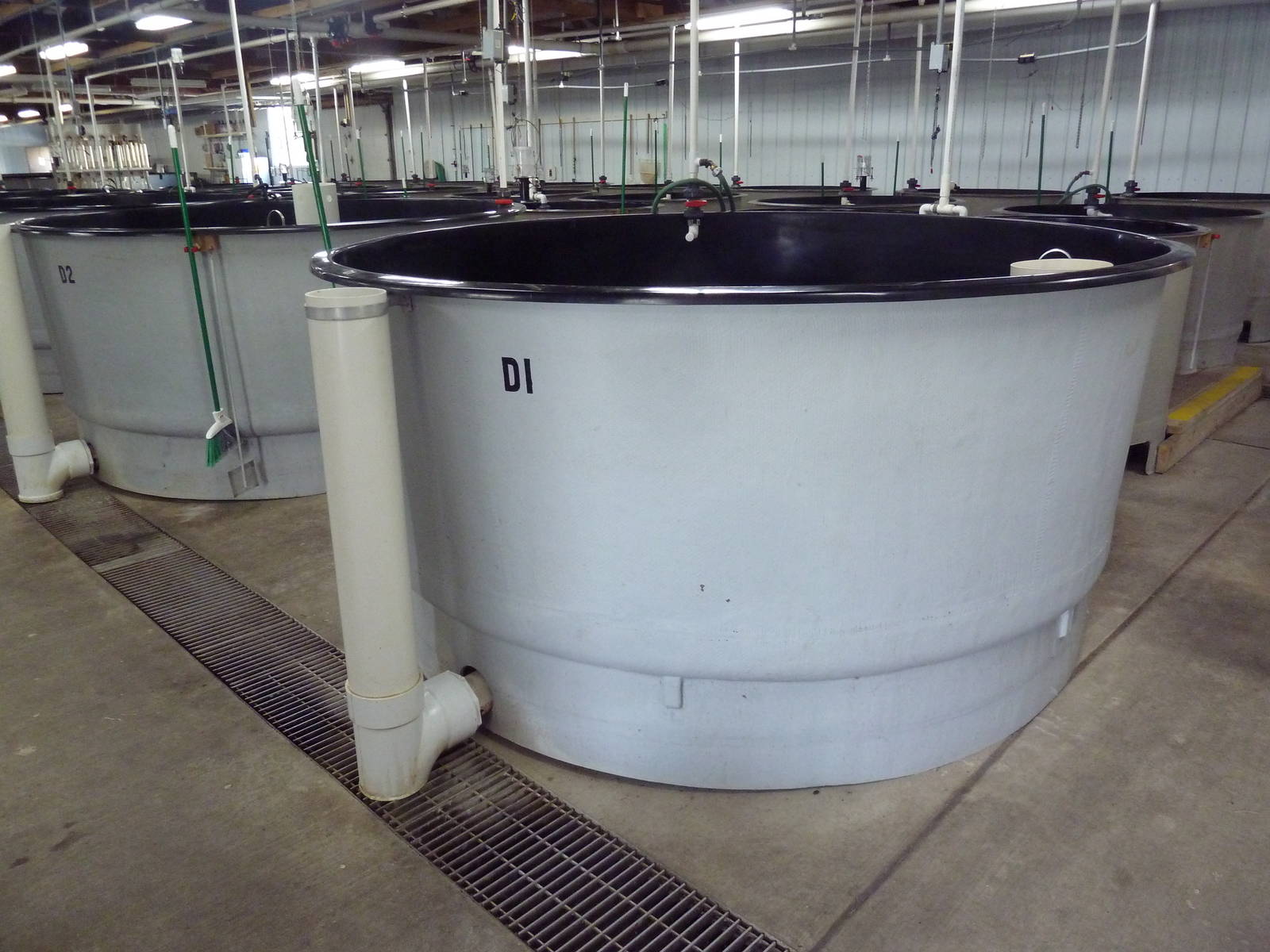 Salmon Building - Interior