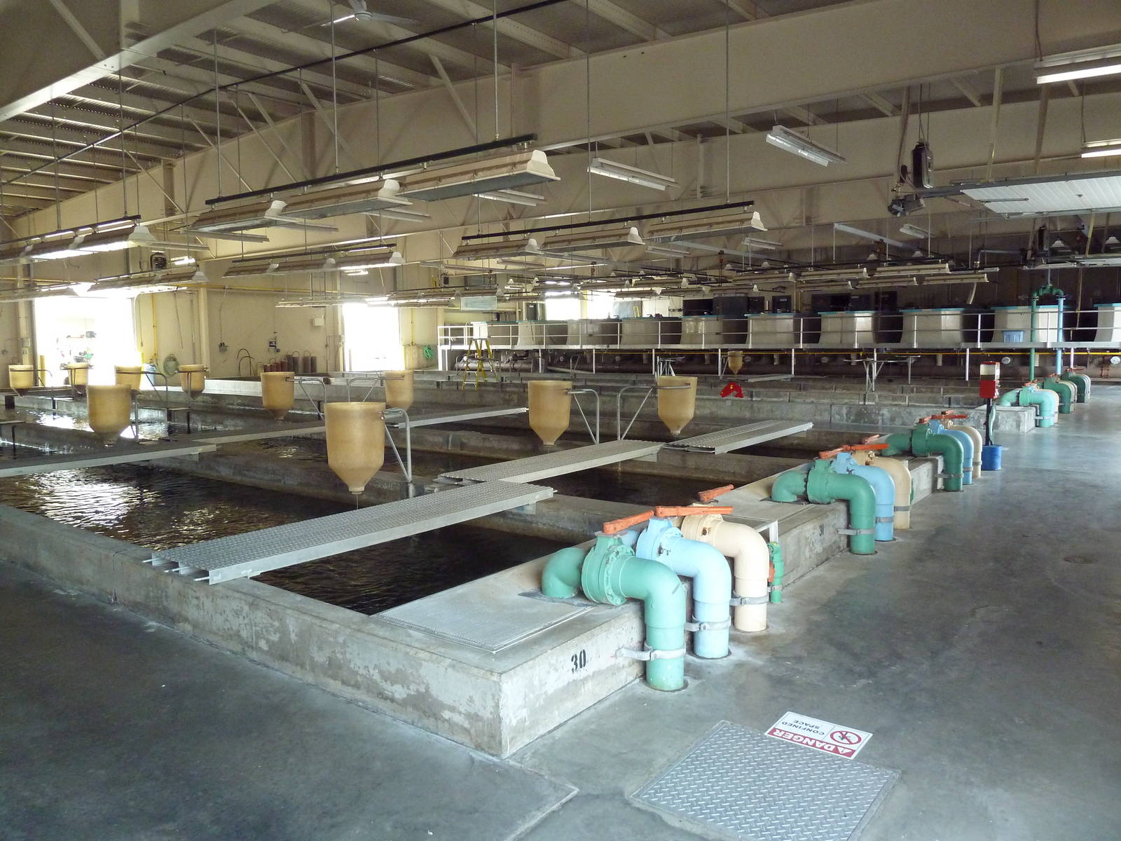 Salmon Building - Interior