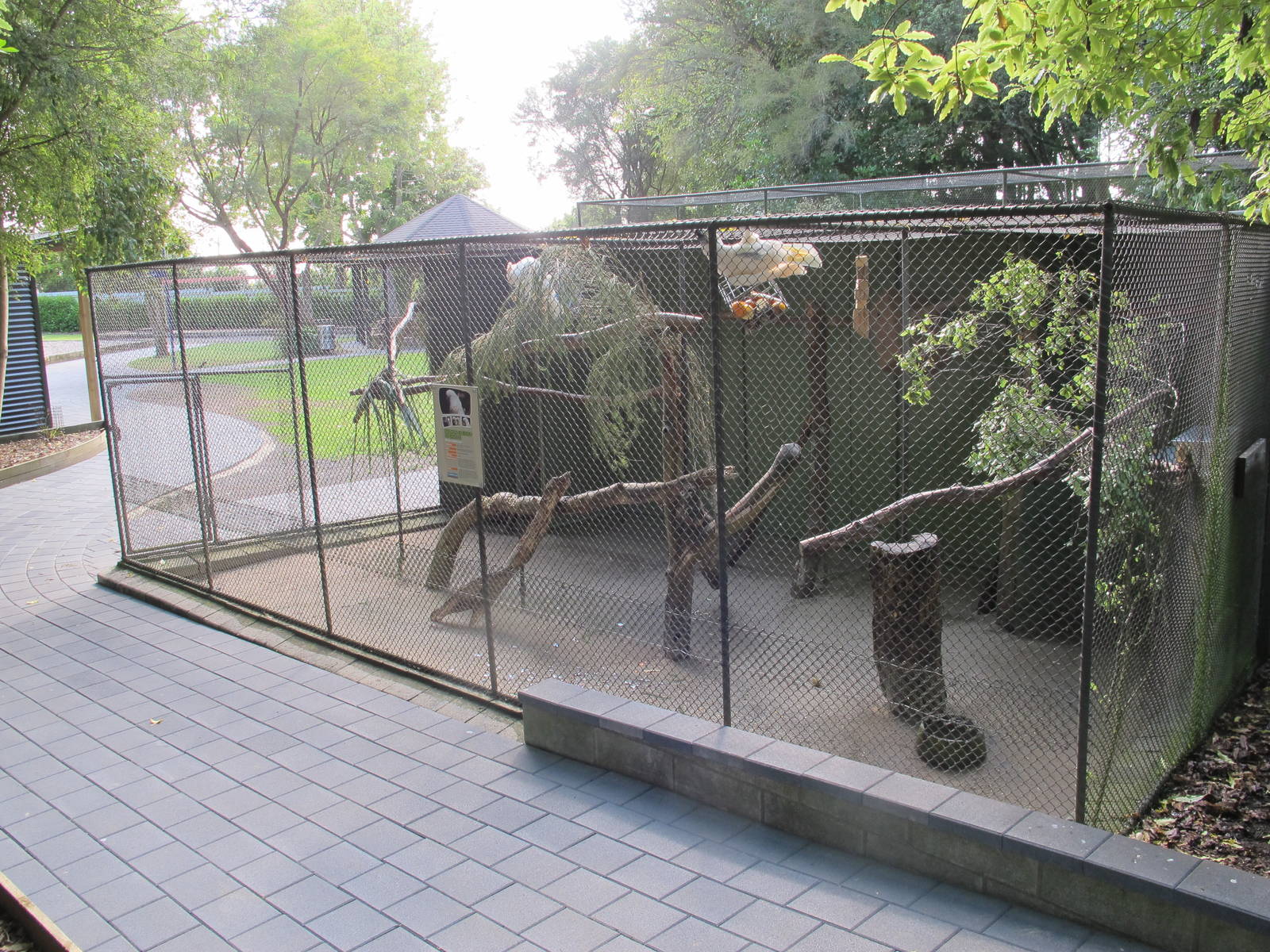 Salmon-Crested Cockatoo Aviary - Hamilton Zoo 2012