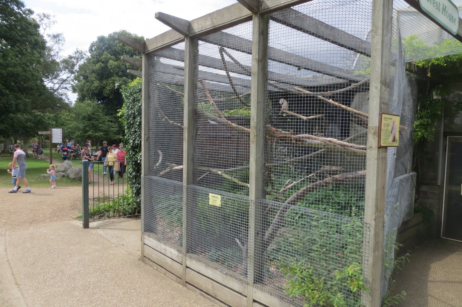 Salmon-crested/Moluccan cockatoo aviary 070819