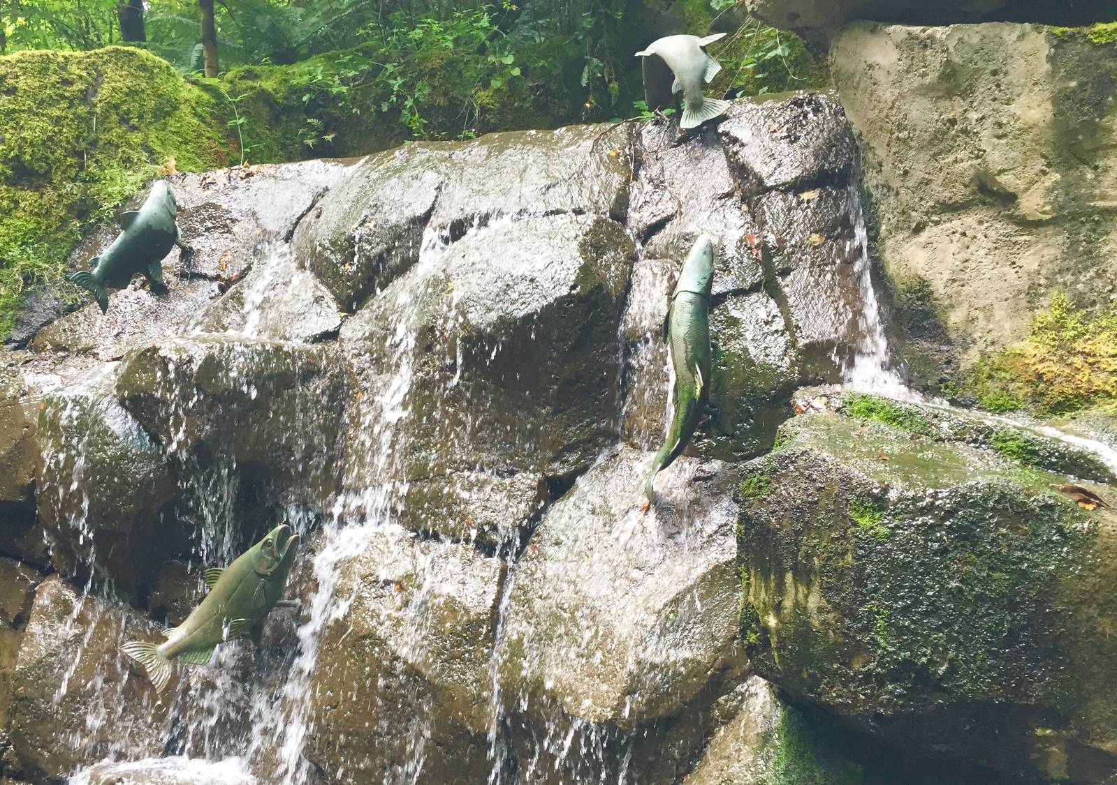 Salmon Fountain