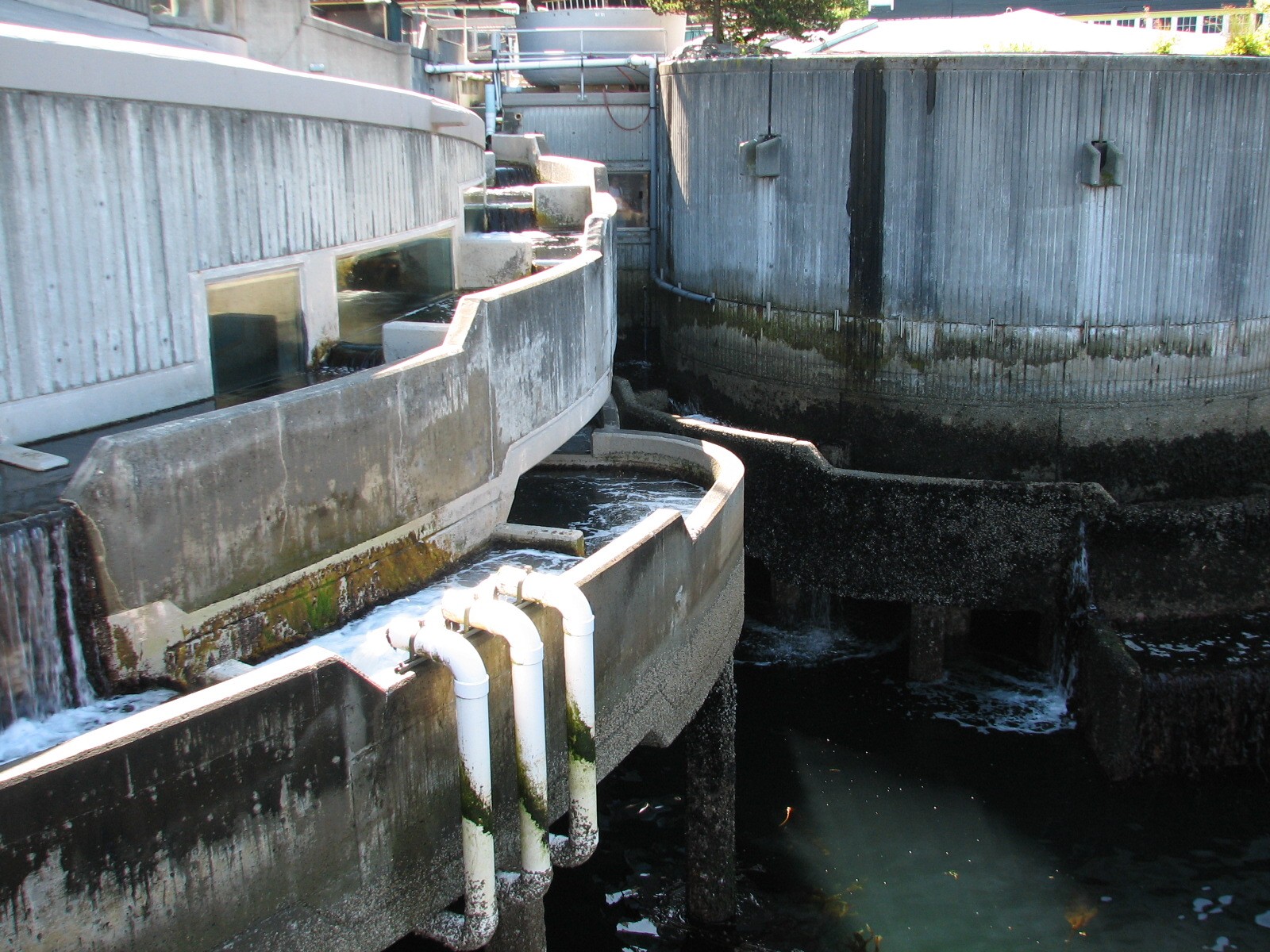 Salmon Ladder an 1977 Building Exterior