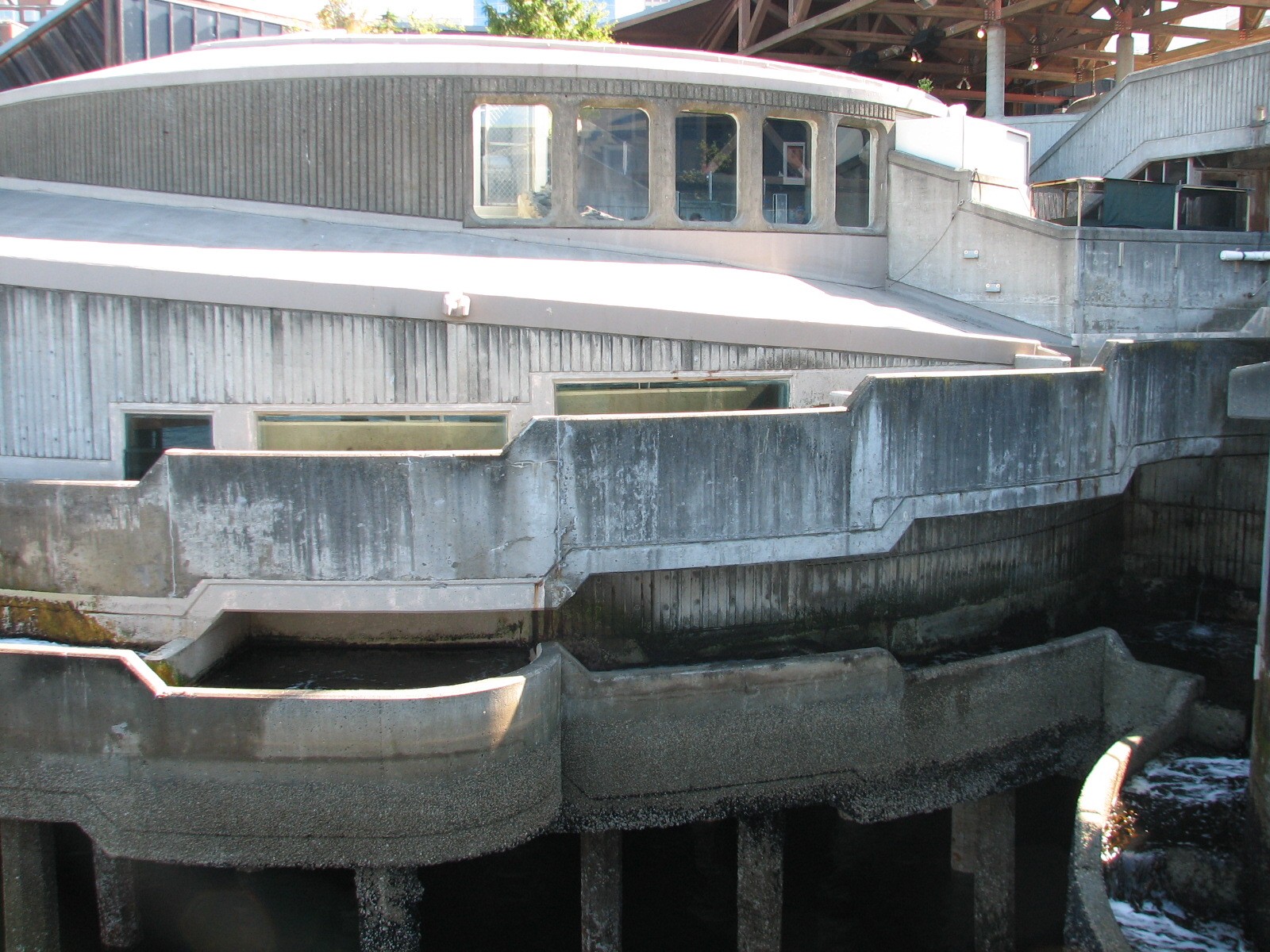 Salmon Ladder an 1977 Building Exterior