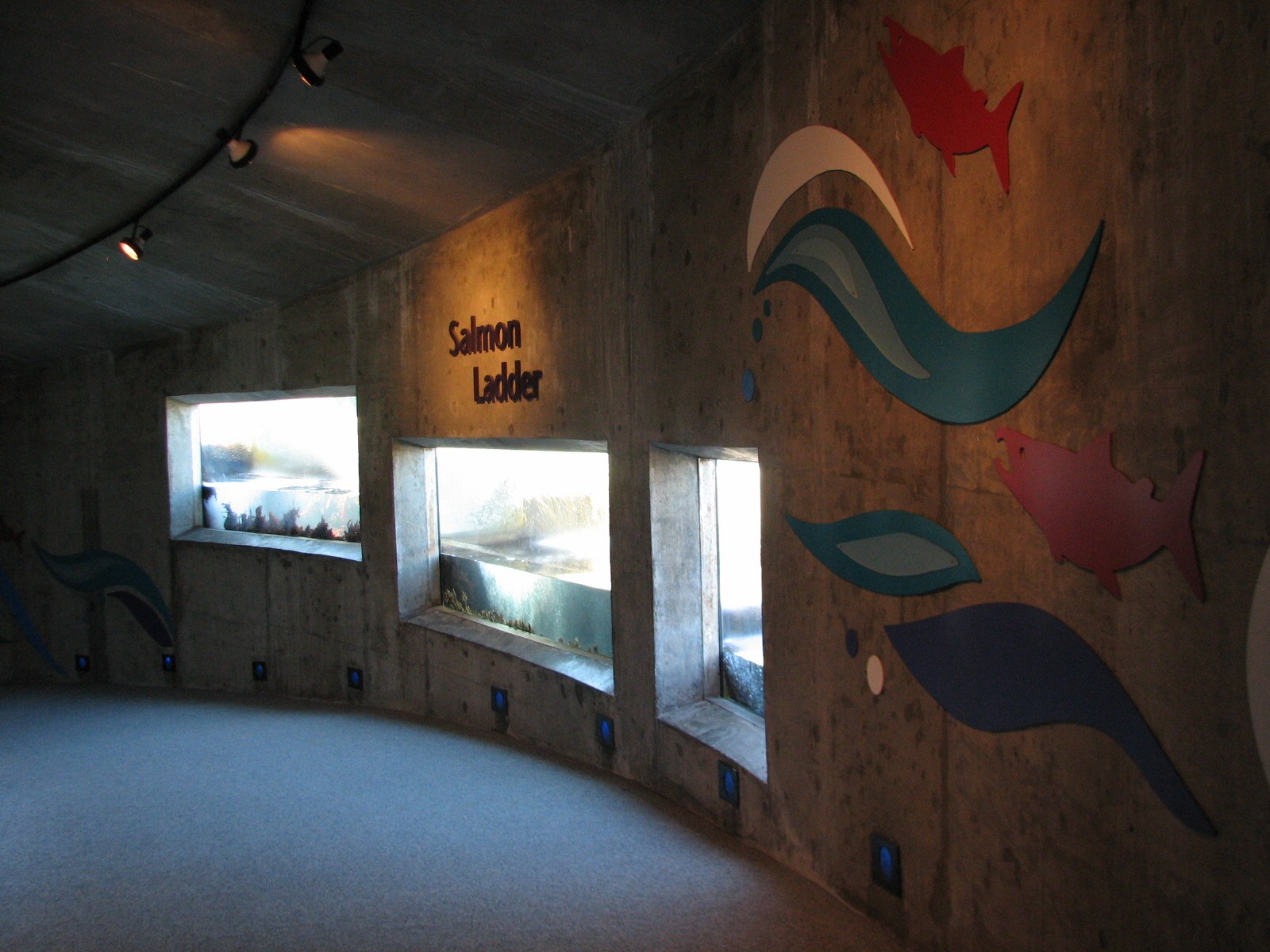 Salmon Ladder Interior Viewing