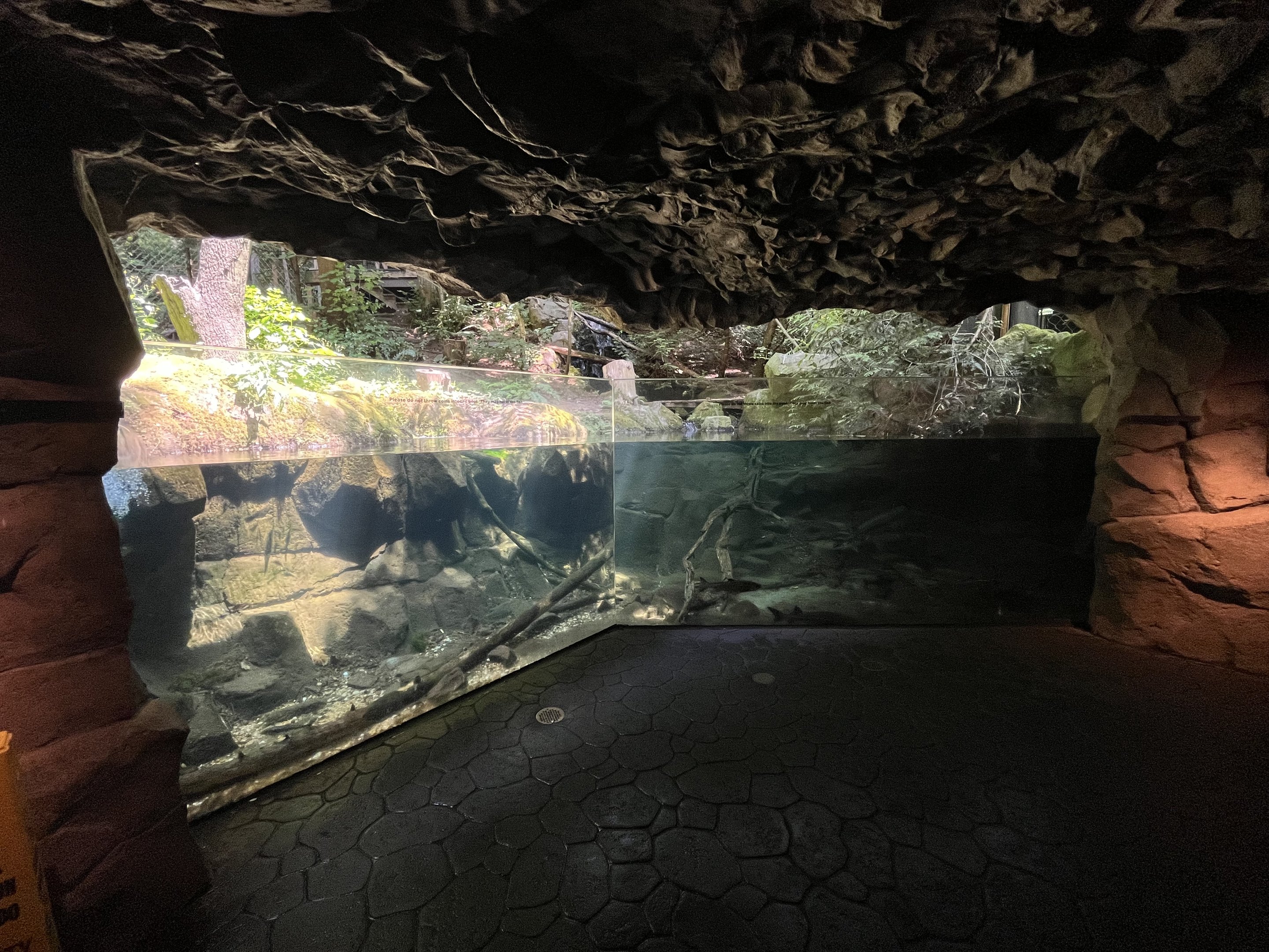 Salmon Tank (in Bald Eagle Aviary)