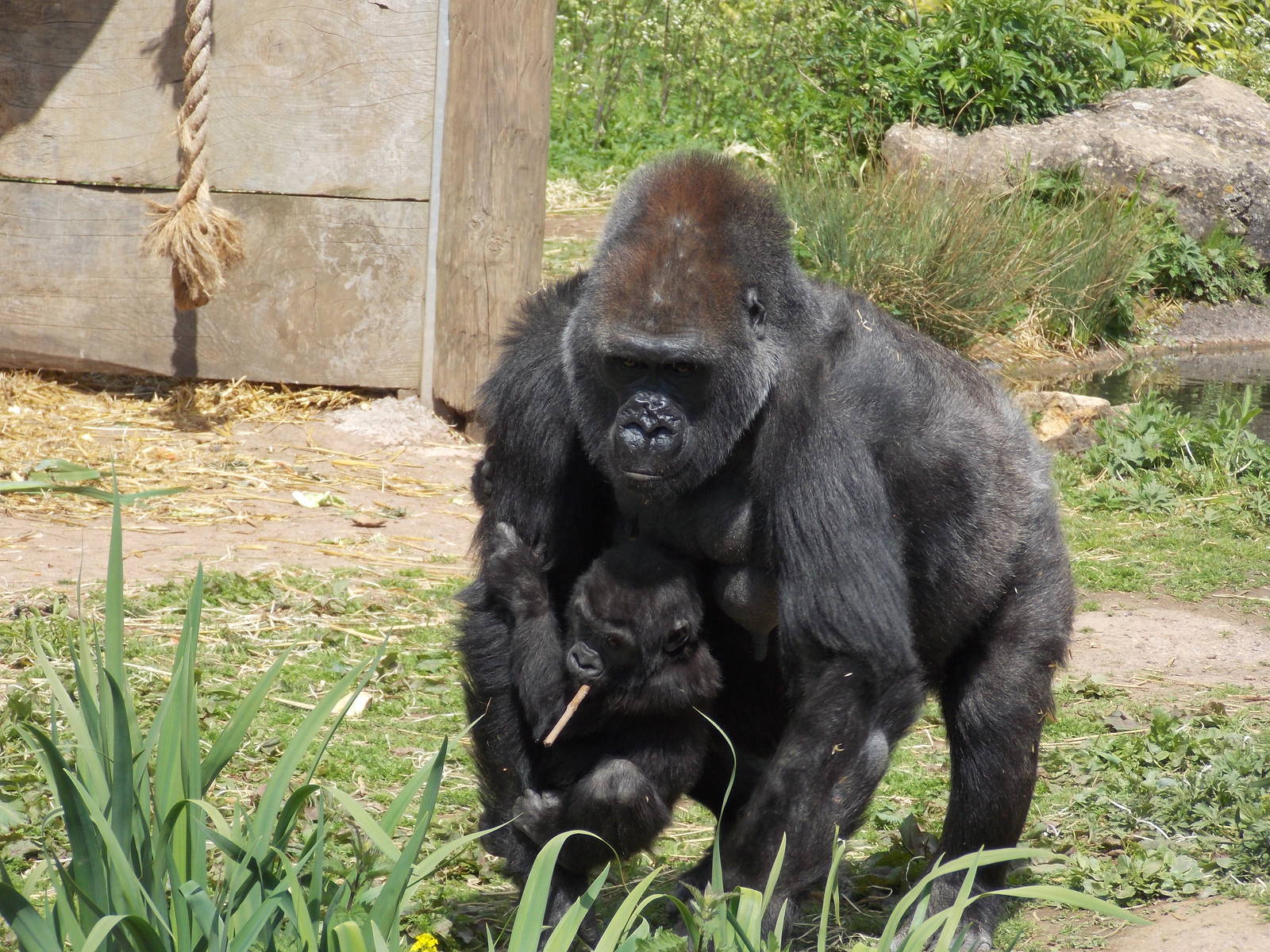 Salome and Kukena 18/5/13