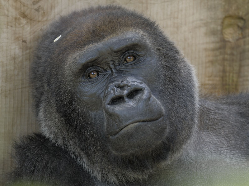 Salome in her favourite spot