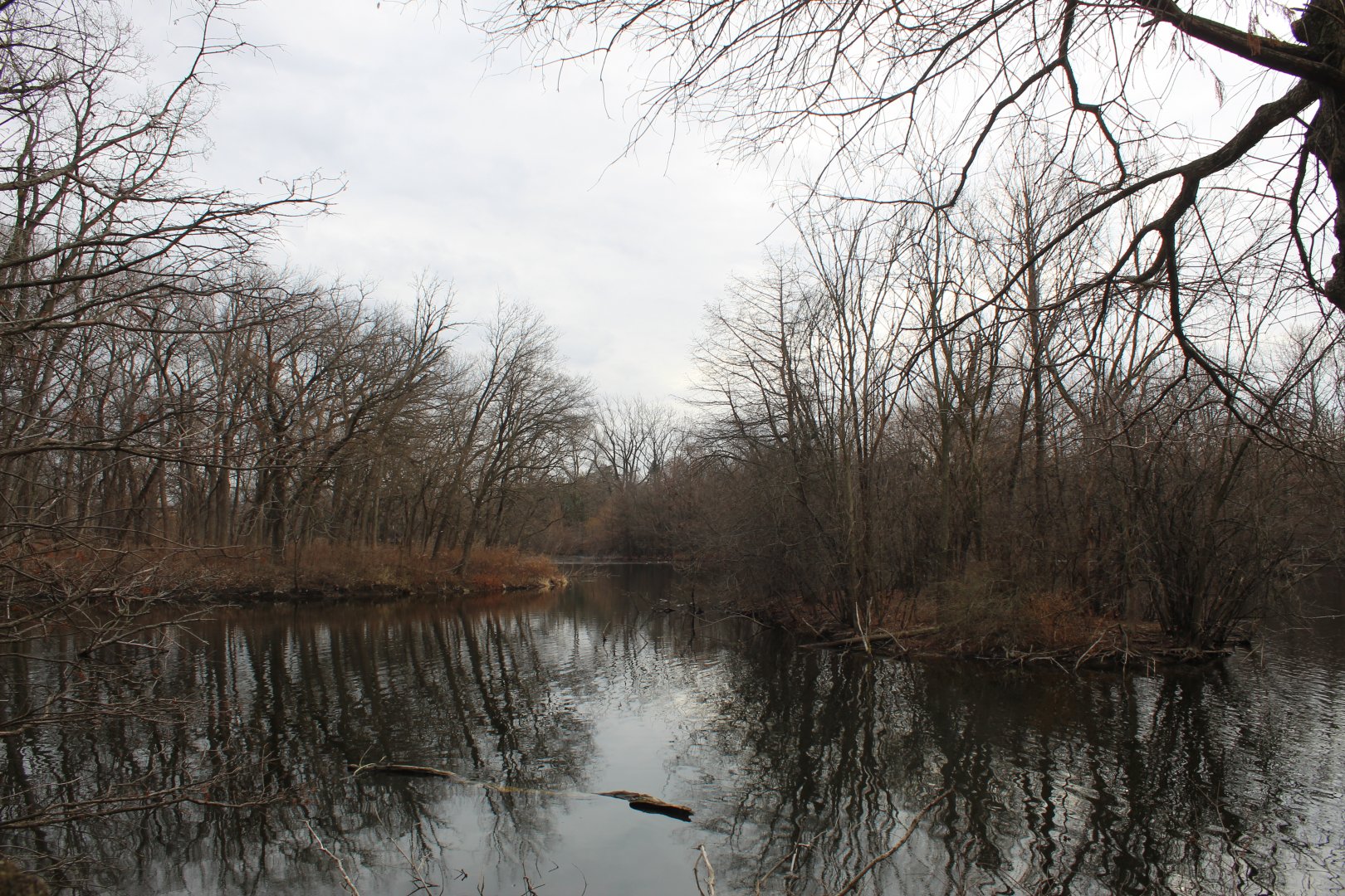 Salt Creek Nature Trail
