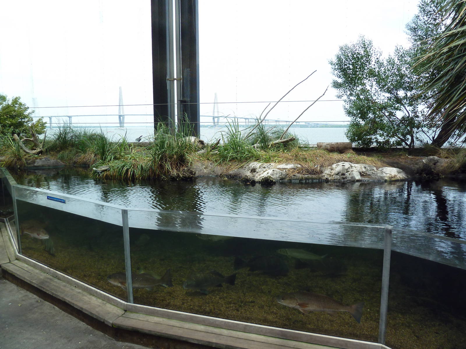 Salt Marsh Exhibit