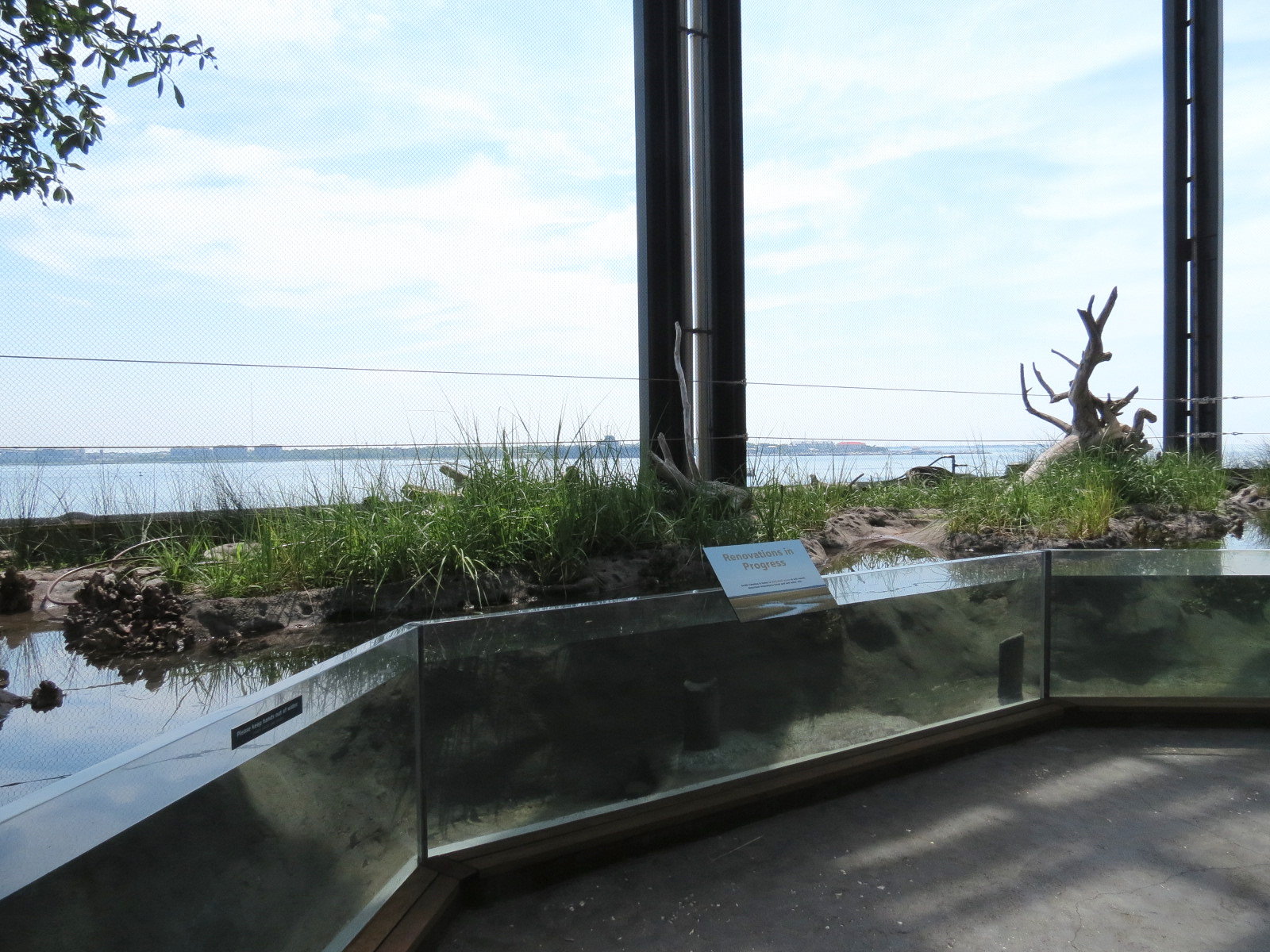 Salt Marsh - Interior