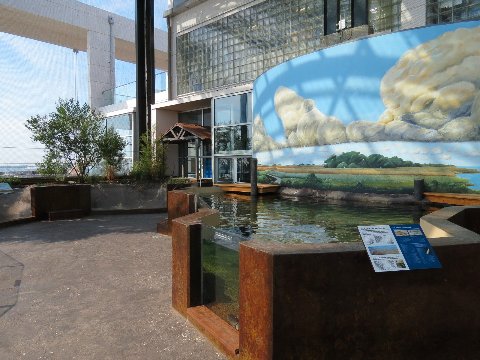 Salt Marsh - Interior