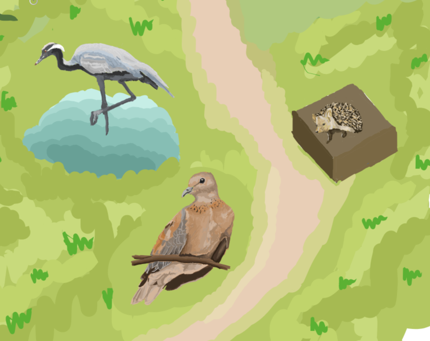 Salt pans of Anatolia - Map of Turkish exhibit