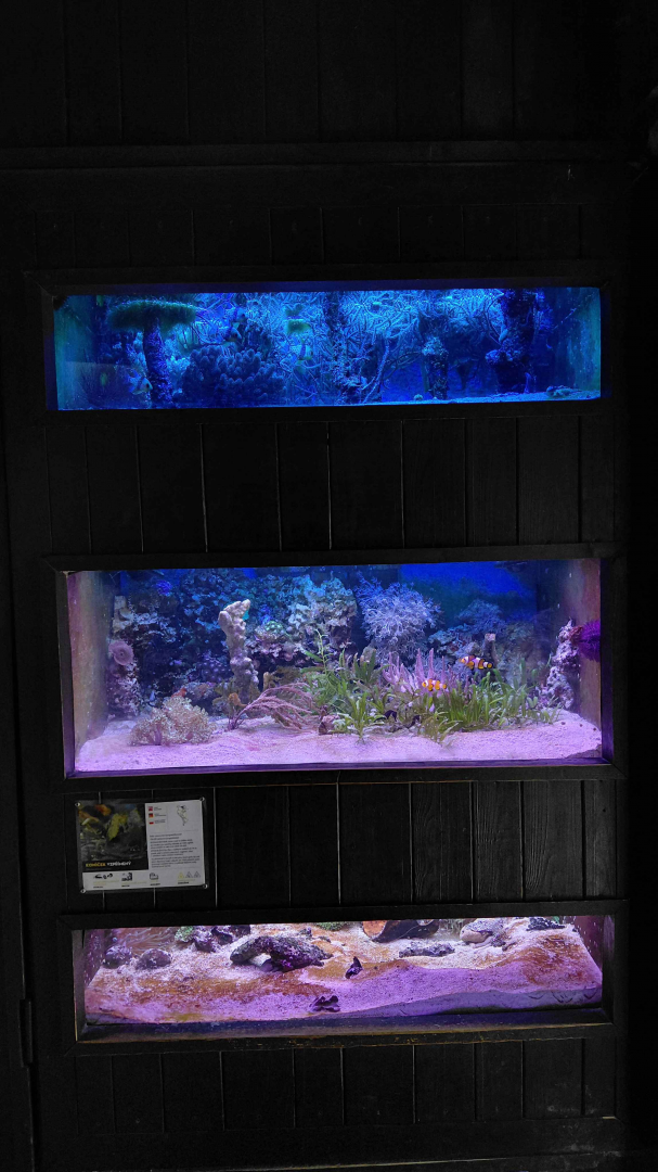 Salt water tanks