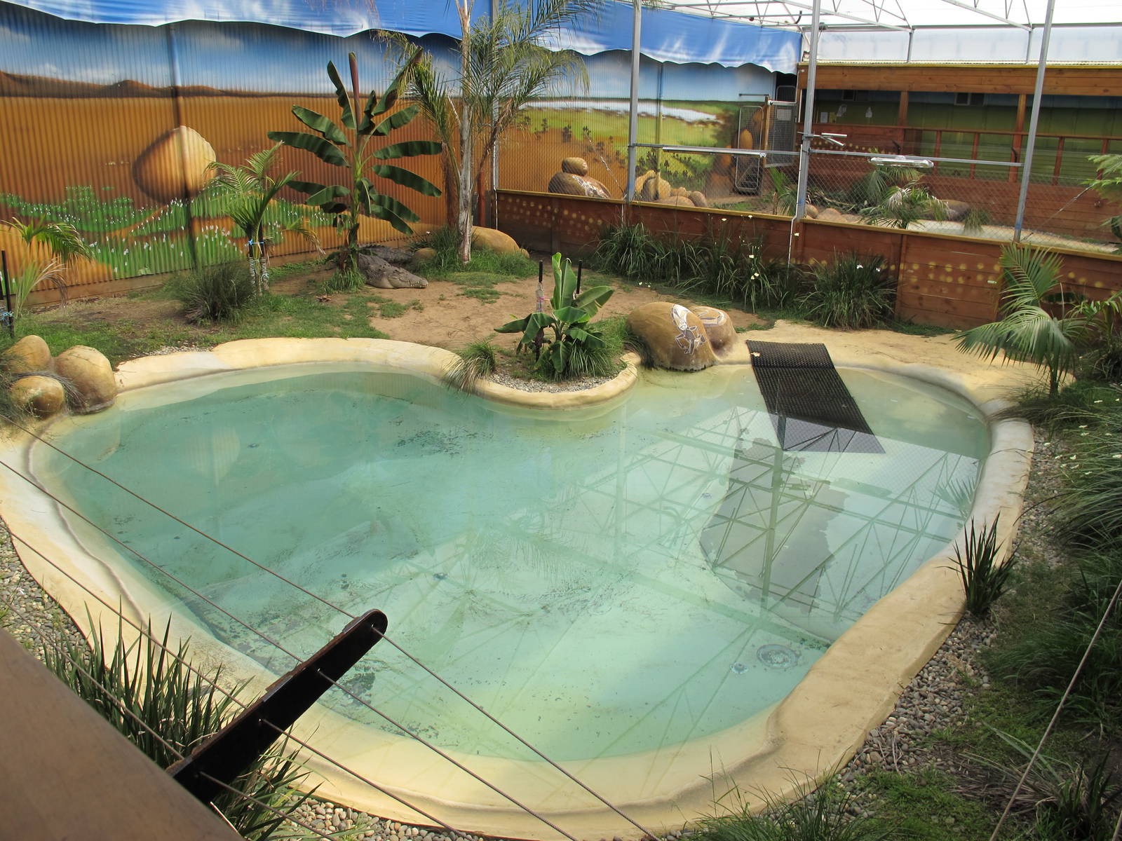 Saltwater Croc Exhibits - Butterfly Creek 2011