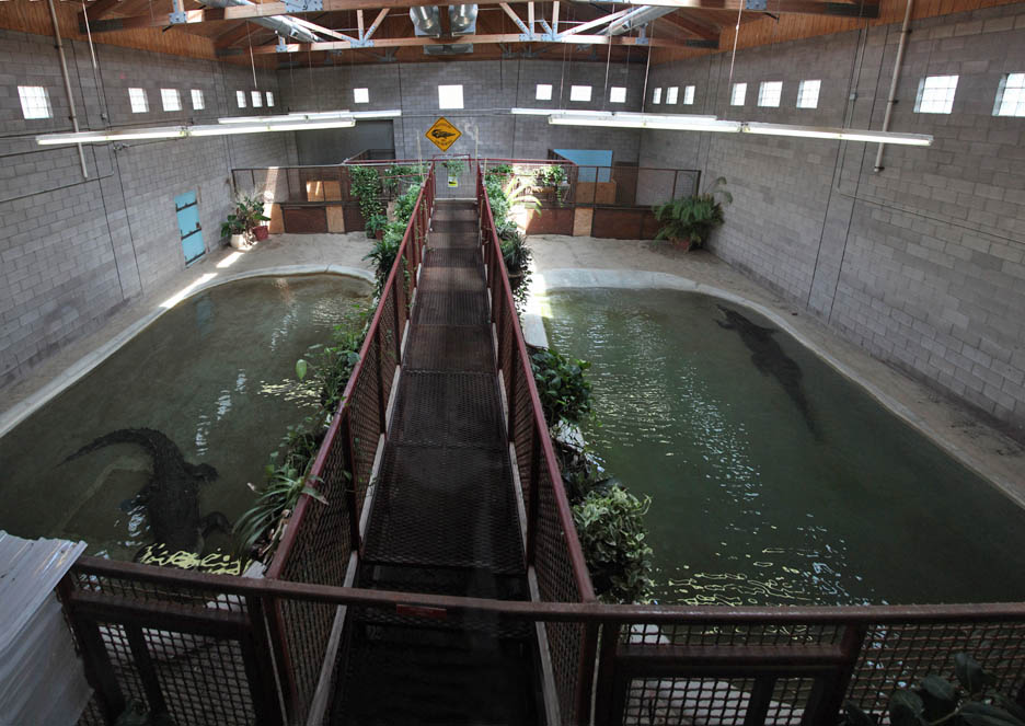 saltwater croc warehouse