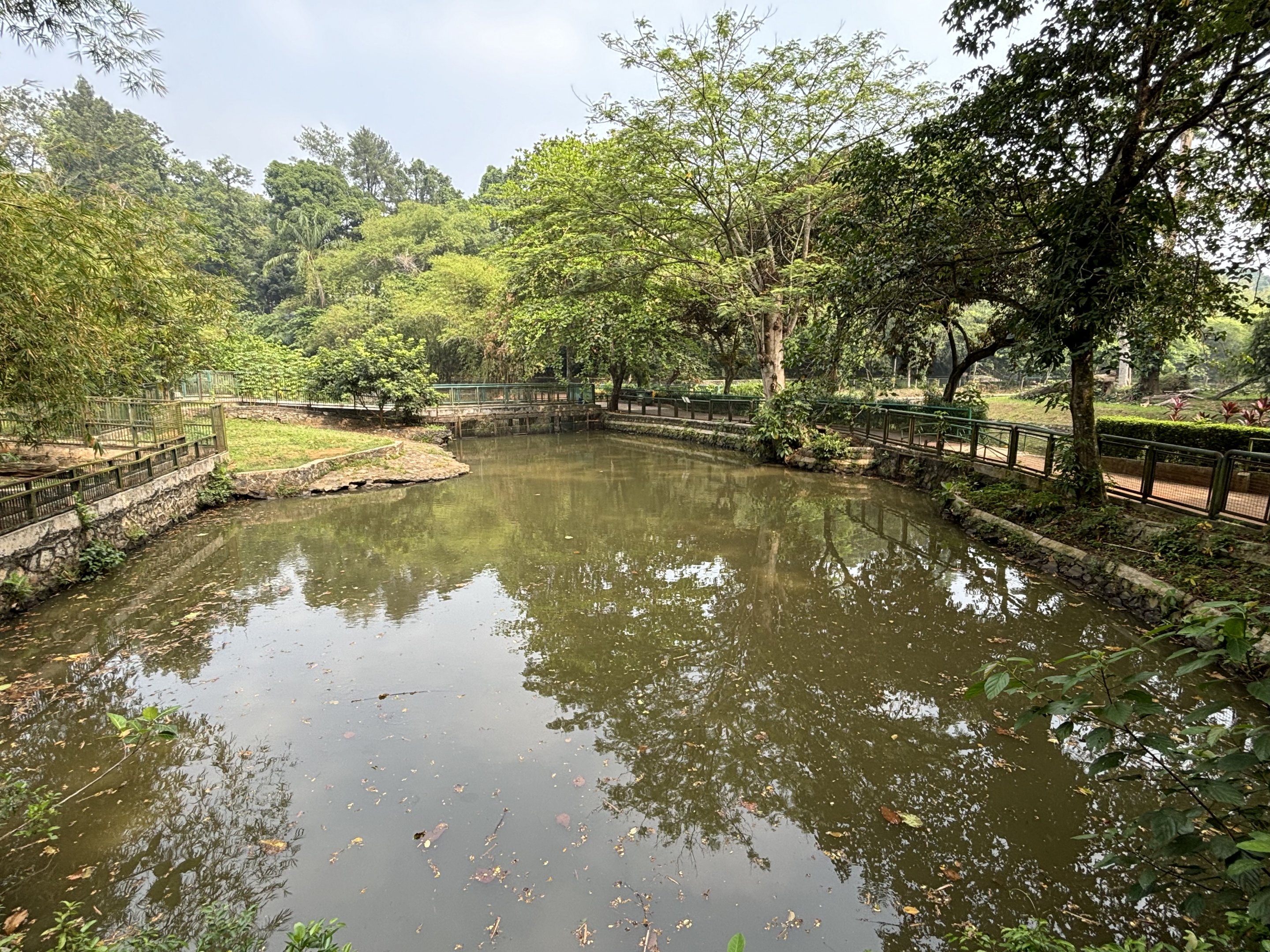 Saltwater Crocodile Complex - several exhibits