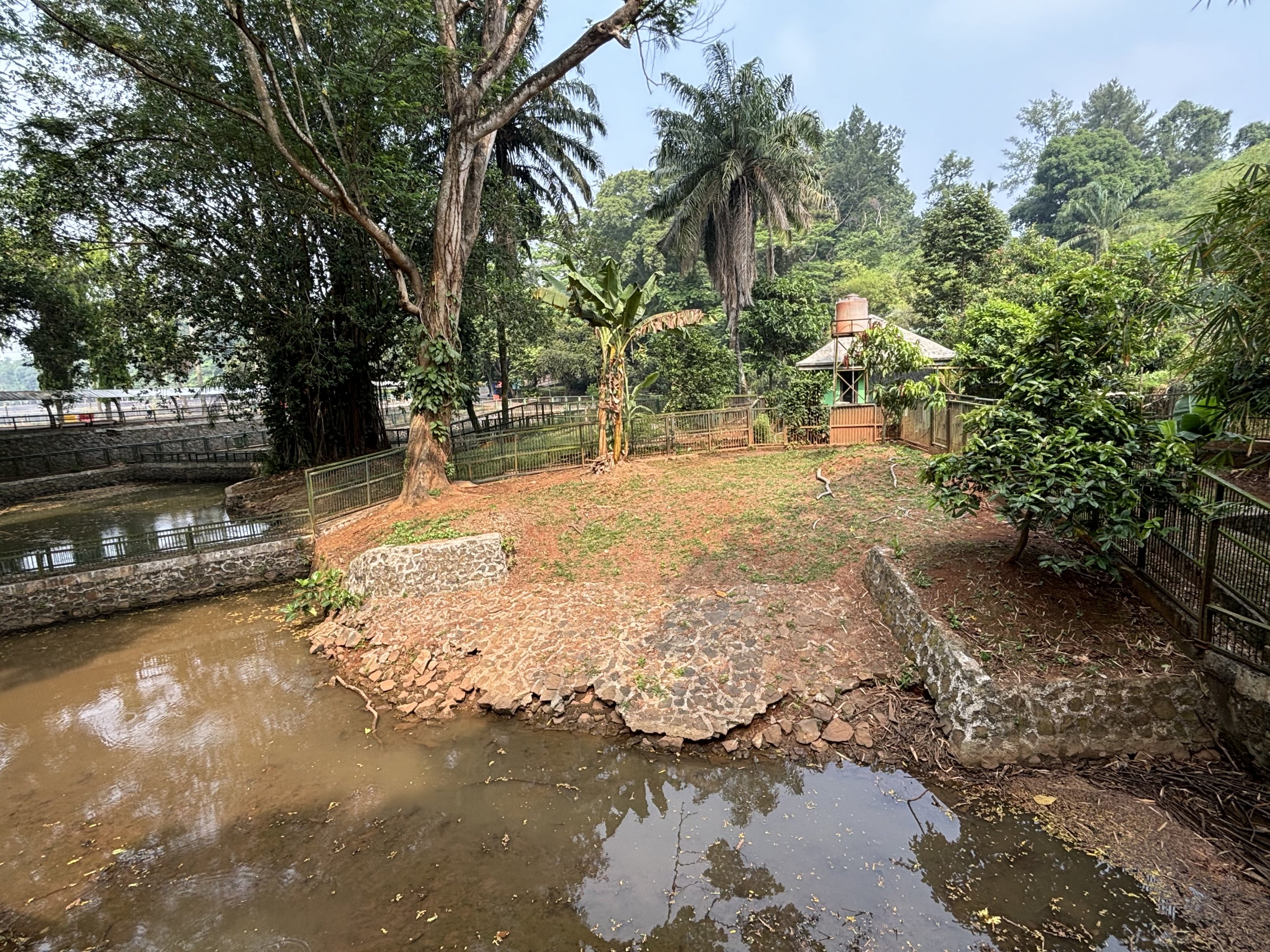 Saltwater Crocodile Complex - several exhibits