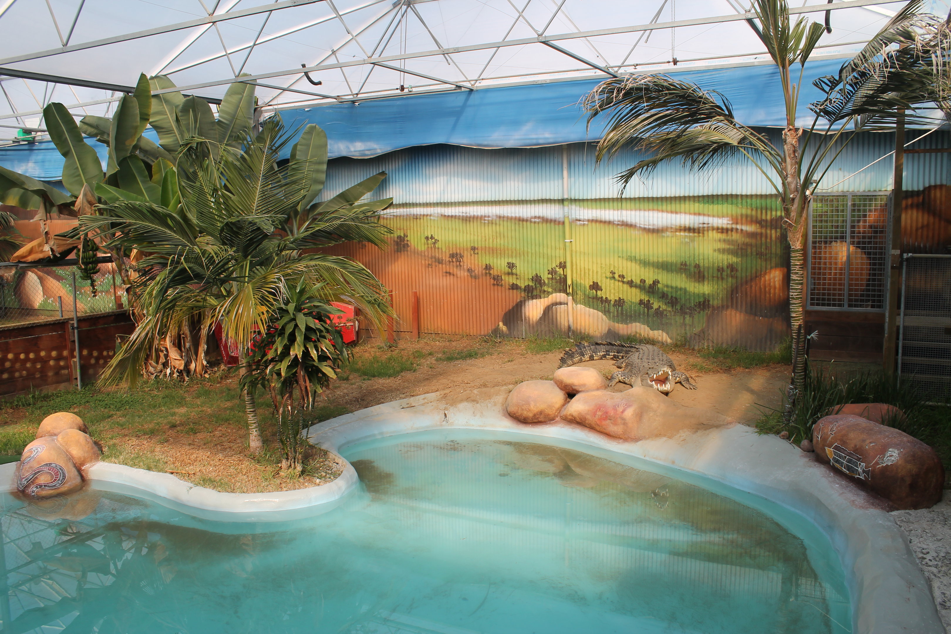Saltwater Crocodile enclosure 2