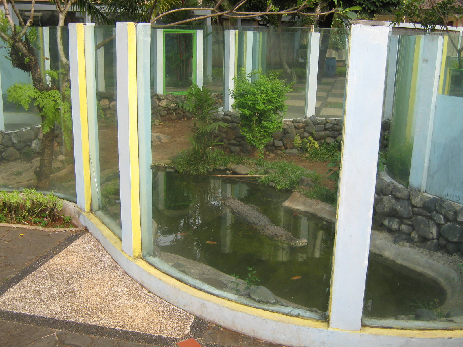 saltwater crocodile enclosure at the Reptile Park