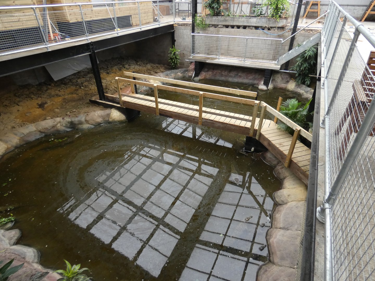Saltwater crocodile enclosure (Johnson's of Old Hurst)