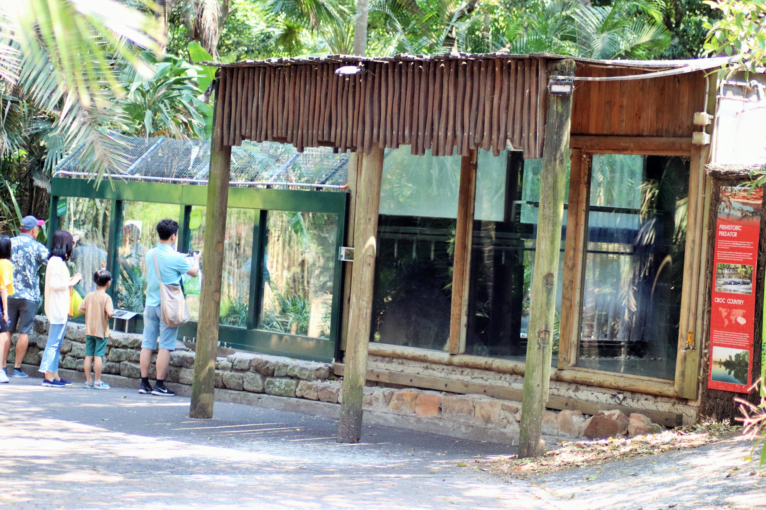 Saltwater Crocodile Enclosure