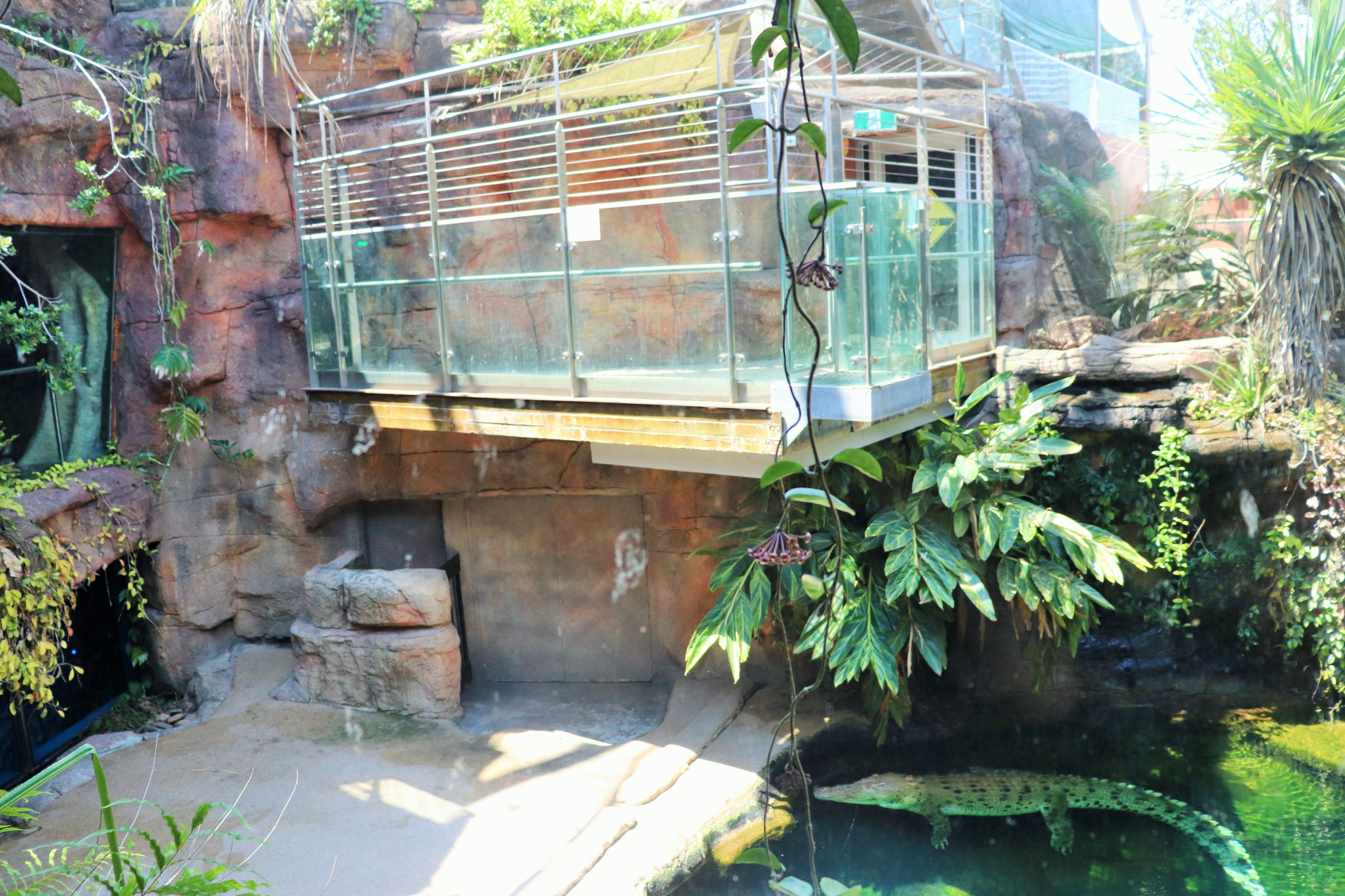 Saltwater Crocodile Enclosure
