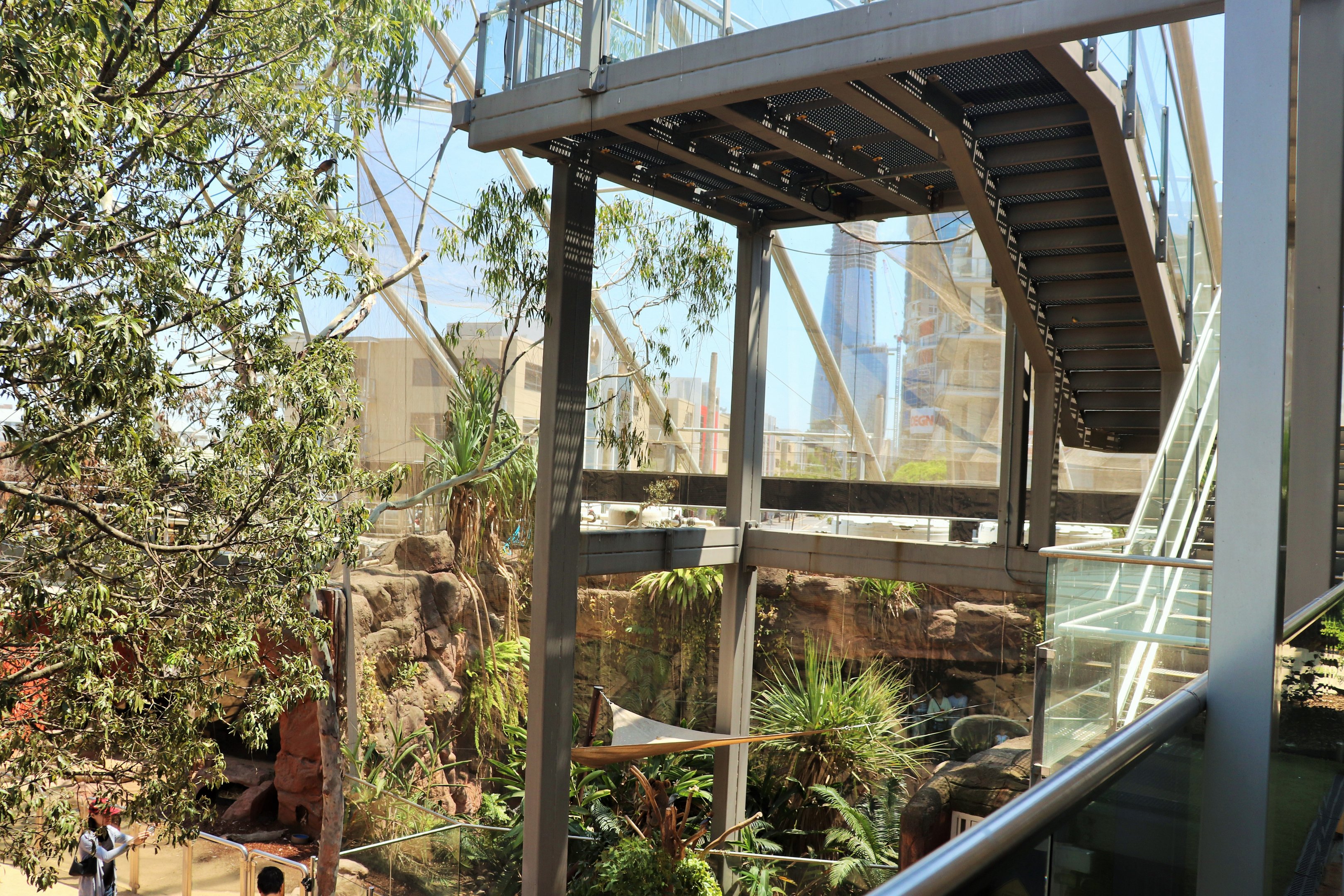 Saltwater Crocodile Enclosure