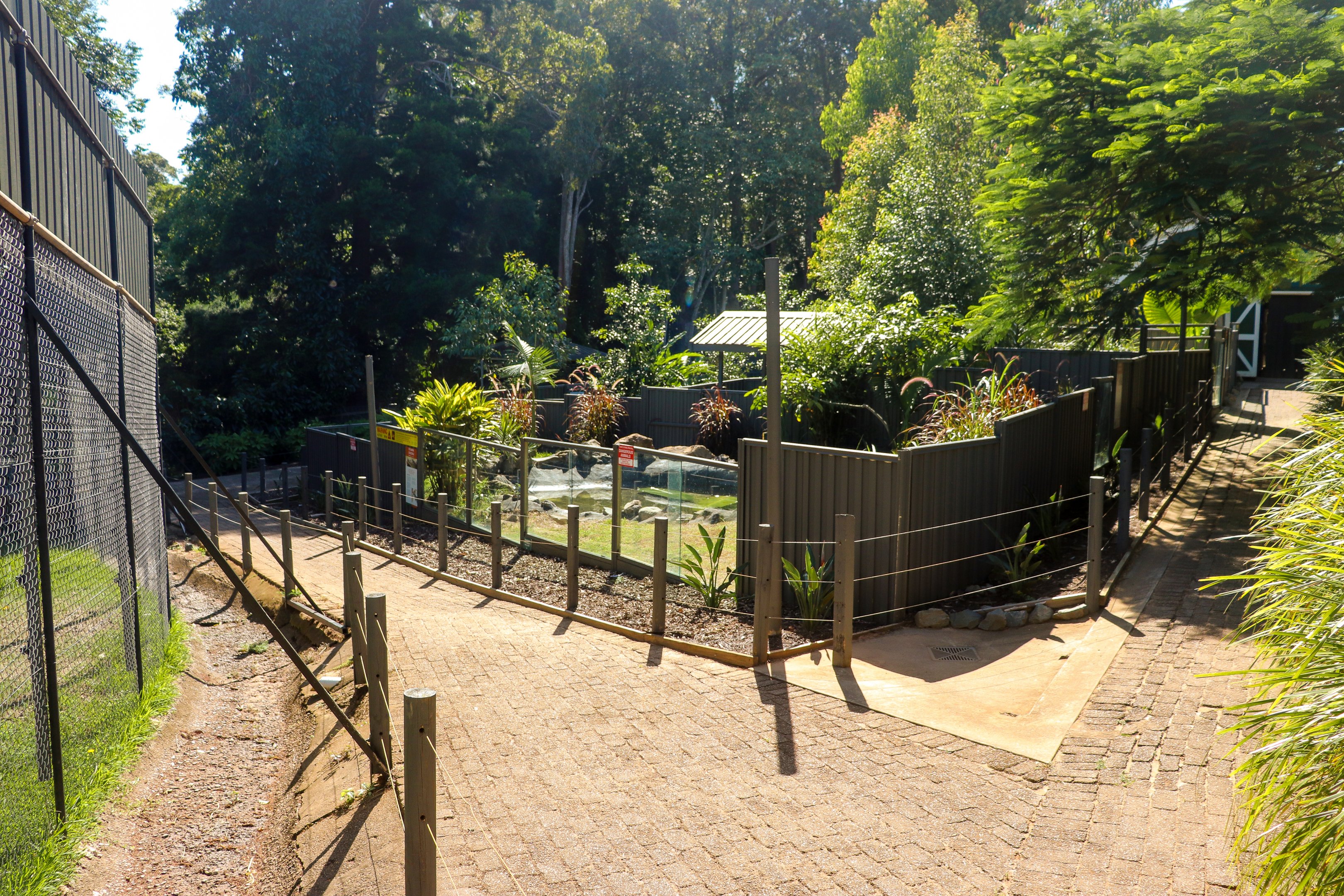 Saltwater Crocodile Enclosure