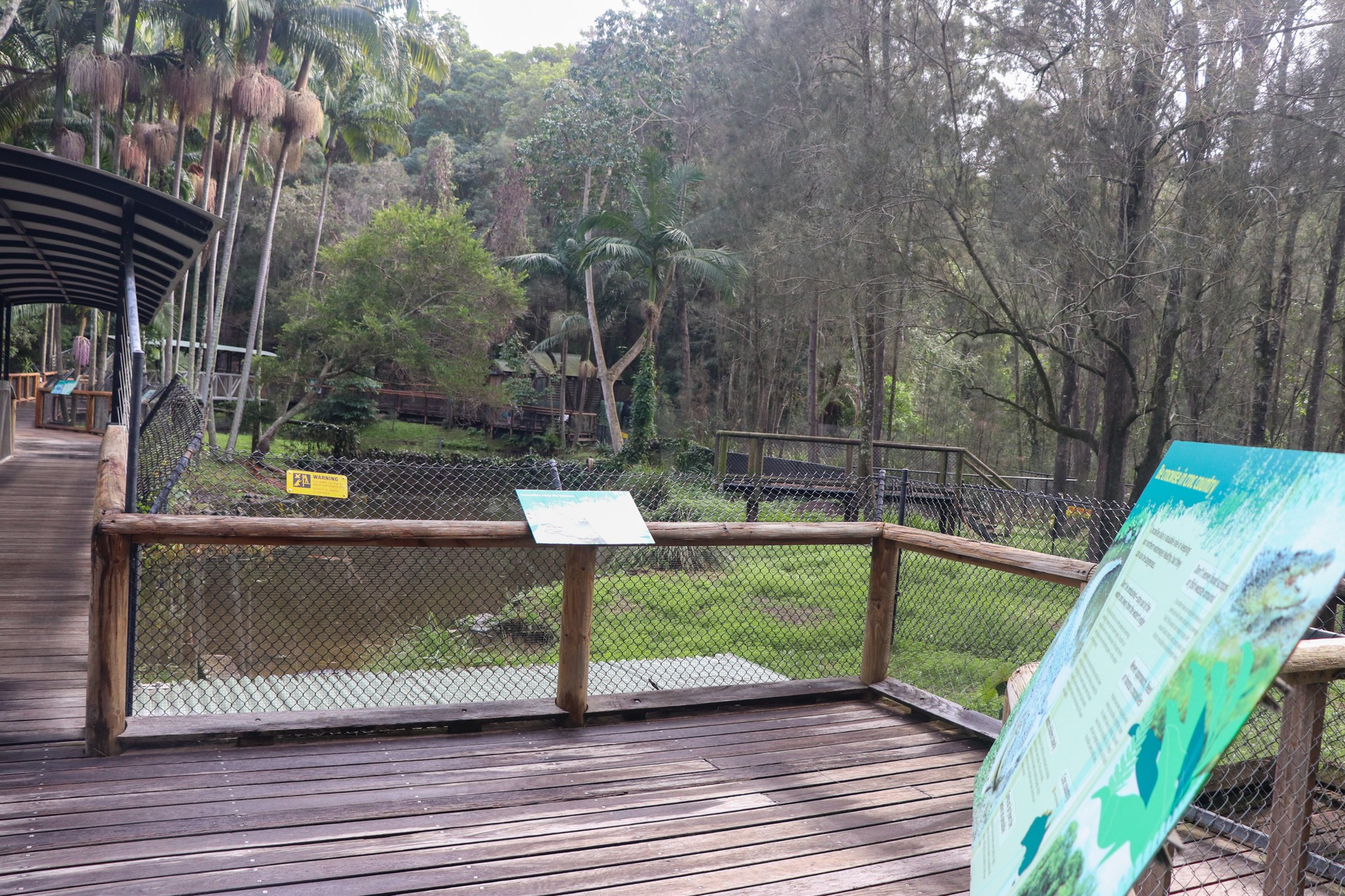 Saltwater Crocodile Enclosure