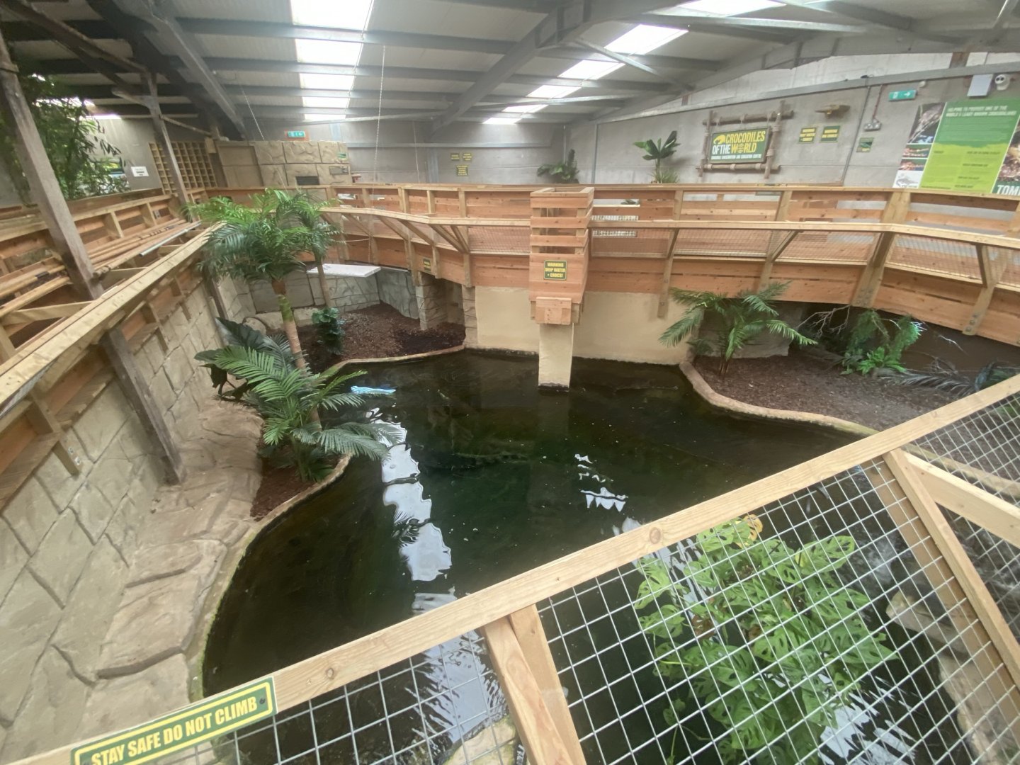 Saltwater crocodile exhibit 020821