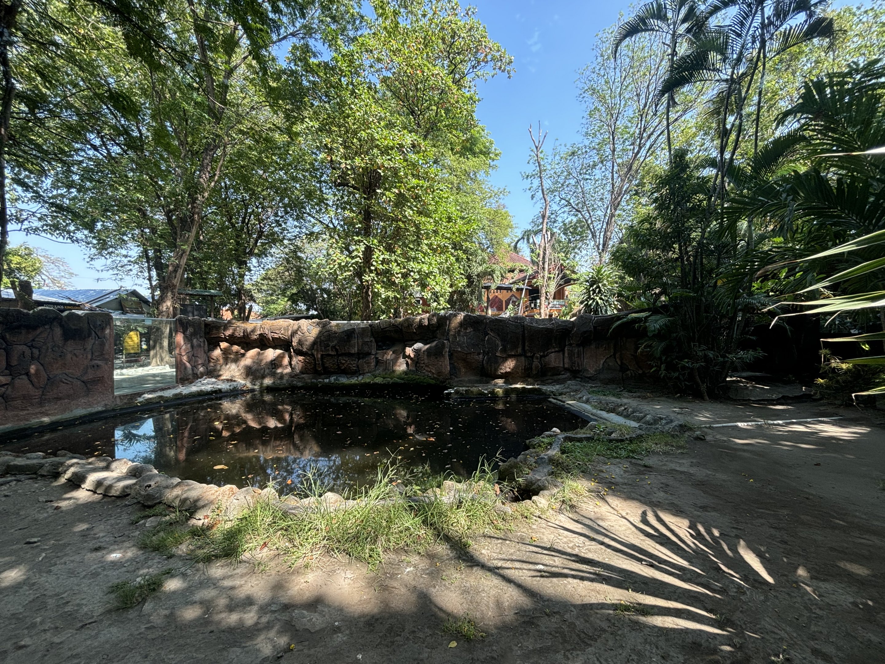 Saltwater Crocodile Exhibit #1