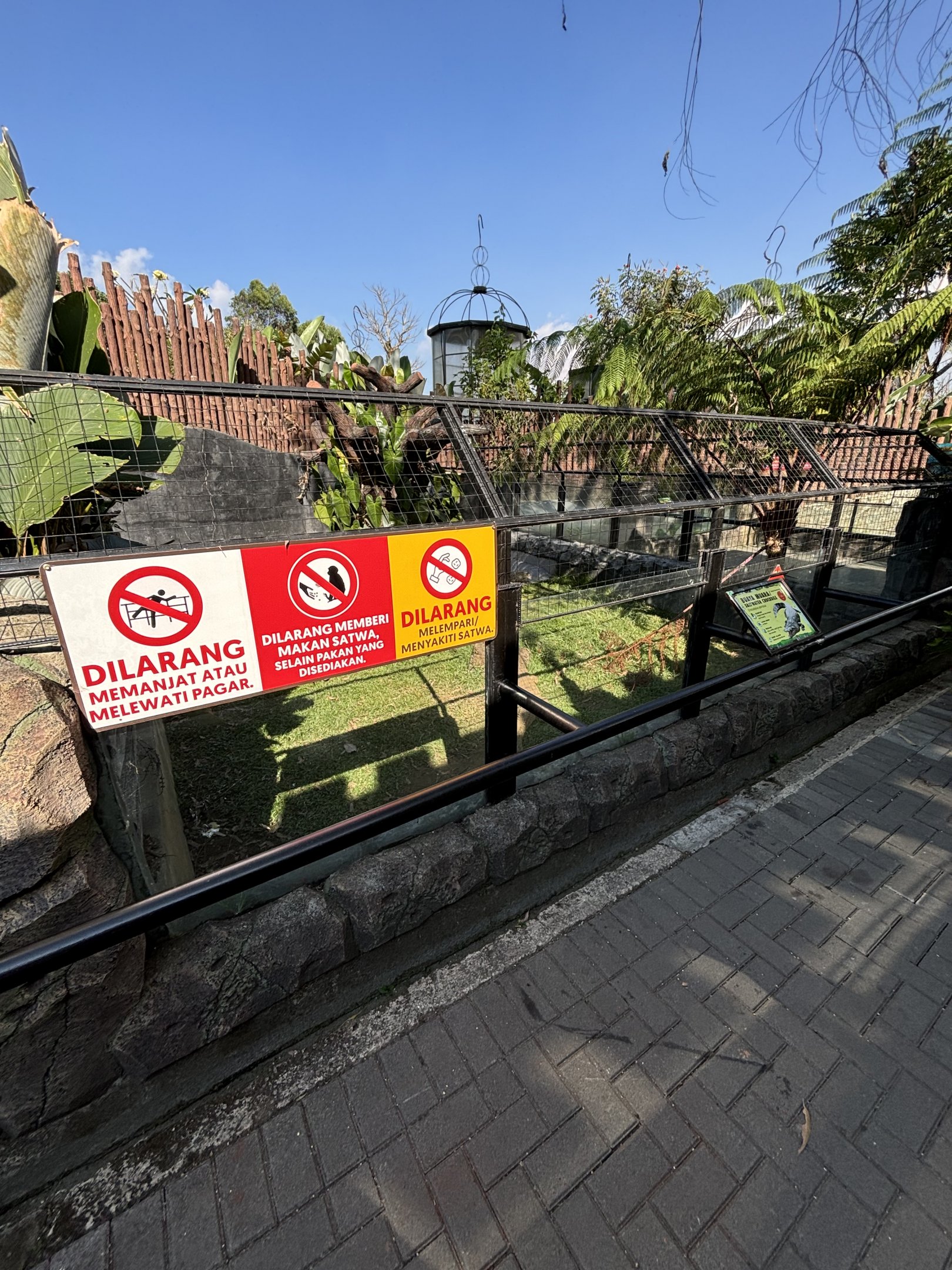 Saltwater Crocodile Exhibit #1