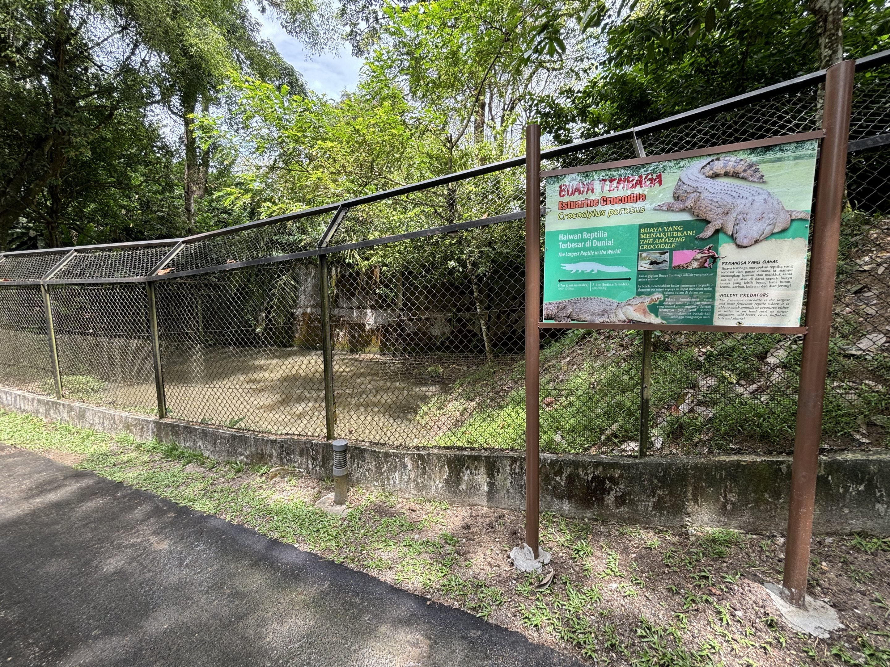 Saltwater Crocodile Exhibit #2
