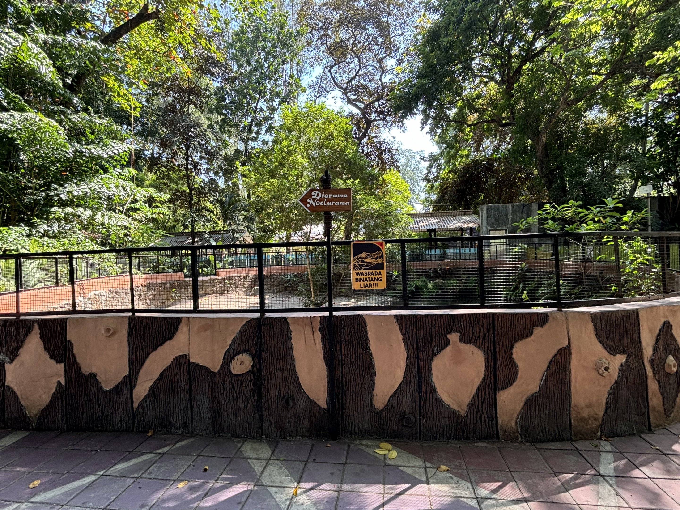 Saltwater Crocodile Exhibit #2