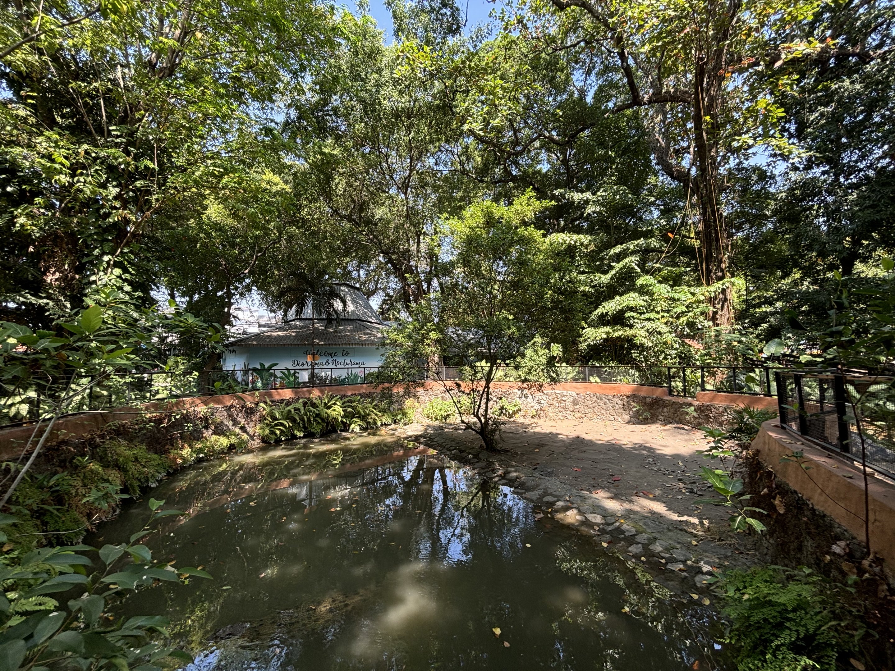 Saltwater Crocodile Exhibit #2