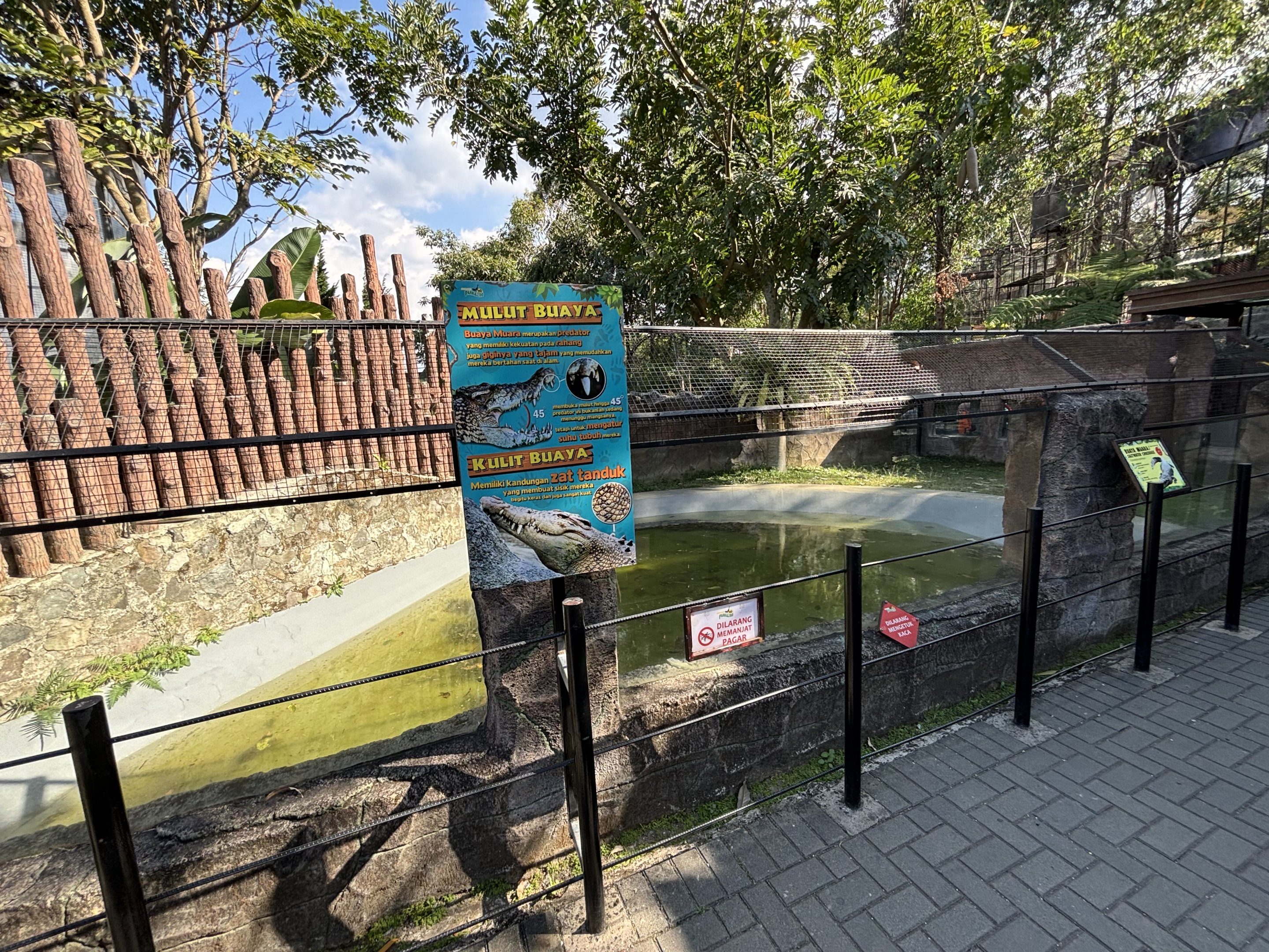 Saltwater Crocodile Exhibit #2