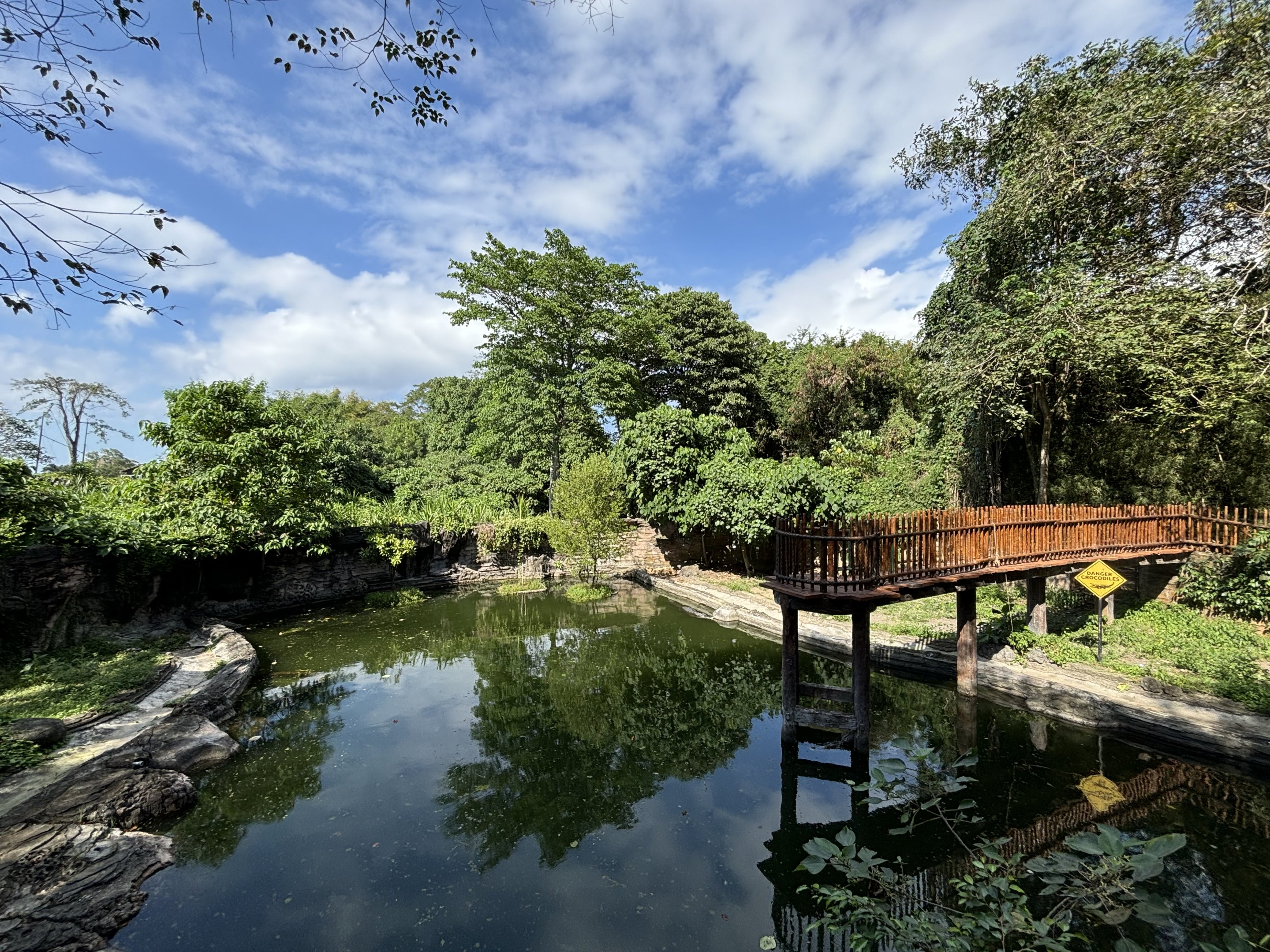 Saltwater Crocodile Exhibit - fantastic!