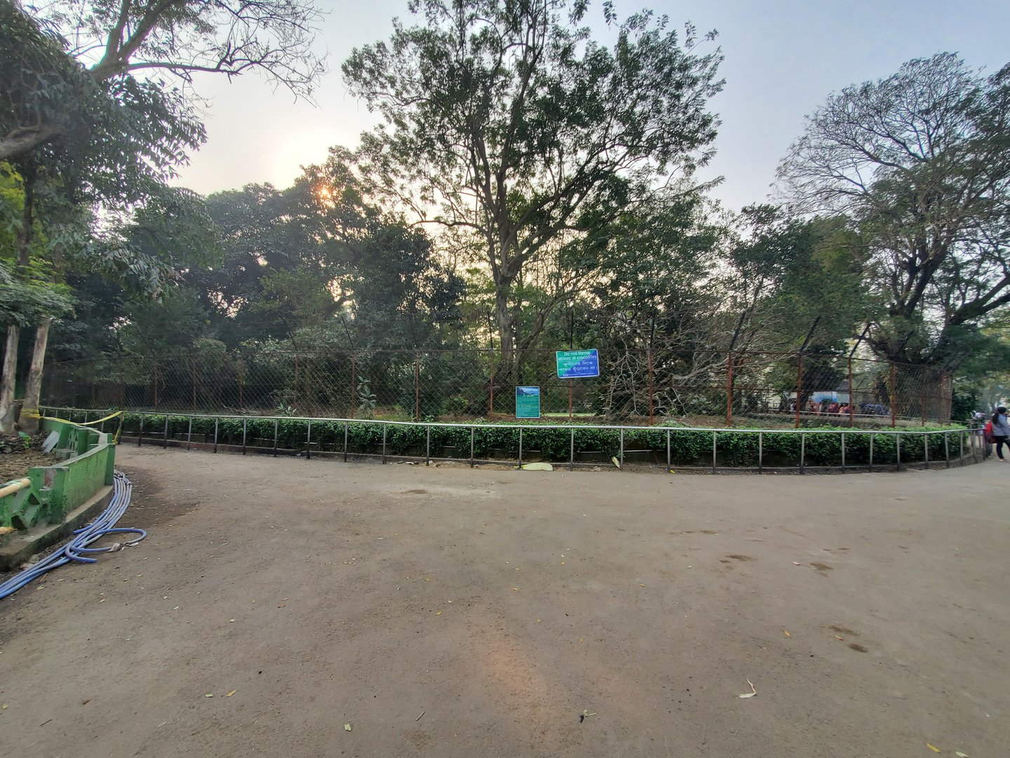 Saltwater Crocodile Exhibit - January 2023