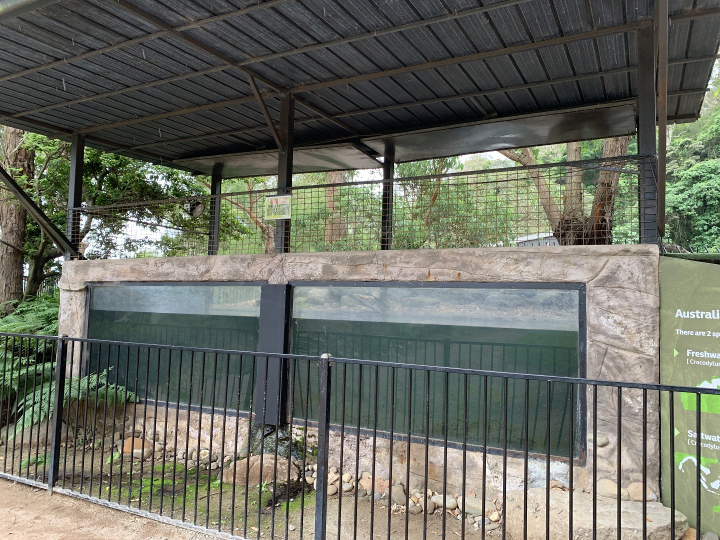 Saltwater Crocodile Exhibit