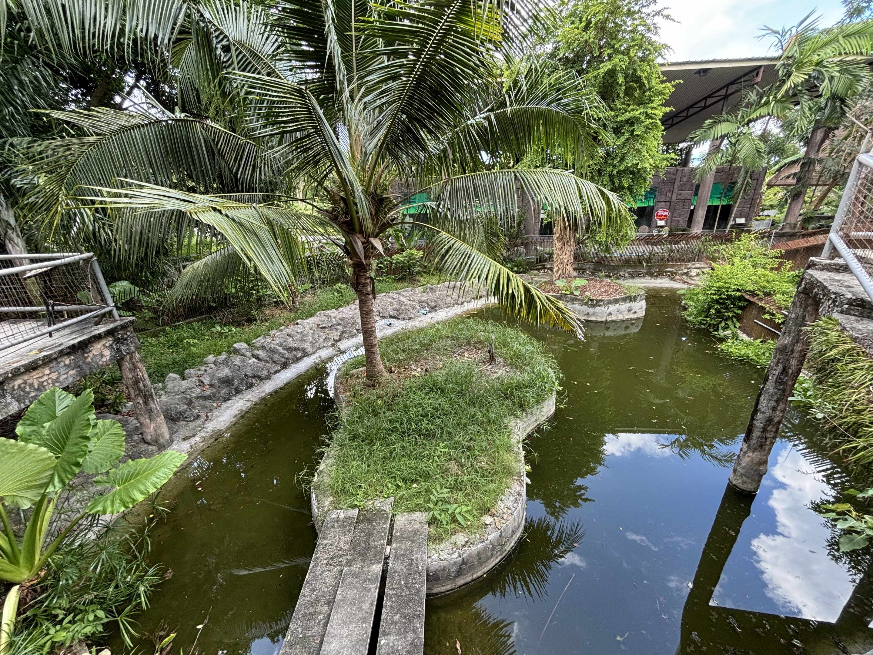 Saltwater Crocodile Exhibit