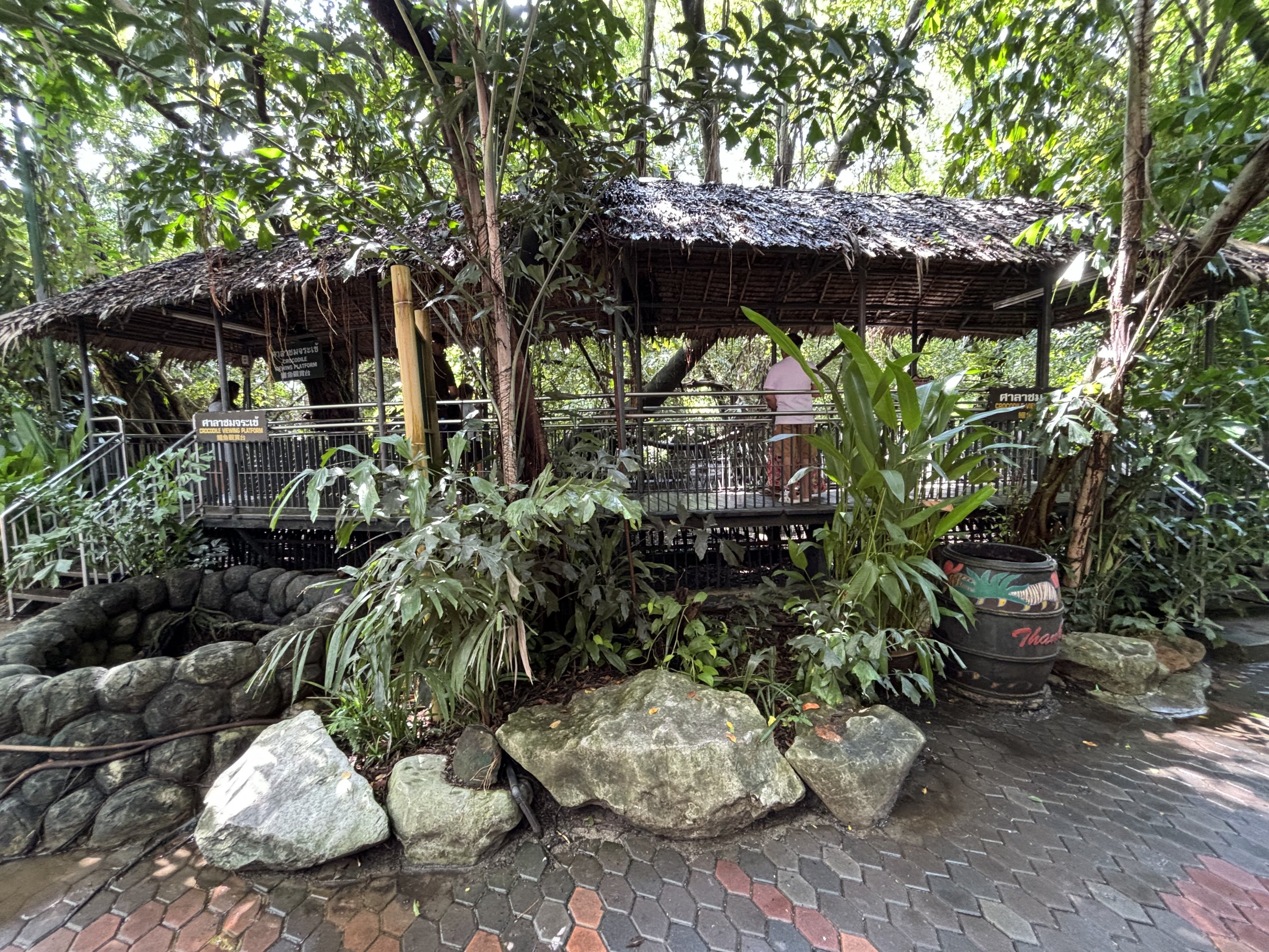 Saltwater Crocodile Exhibit