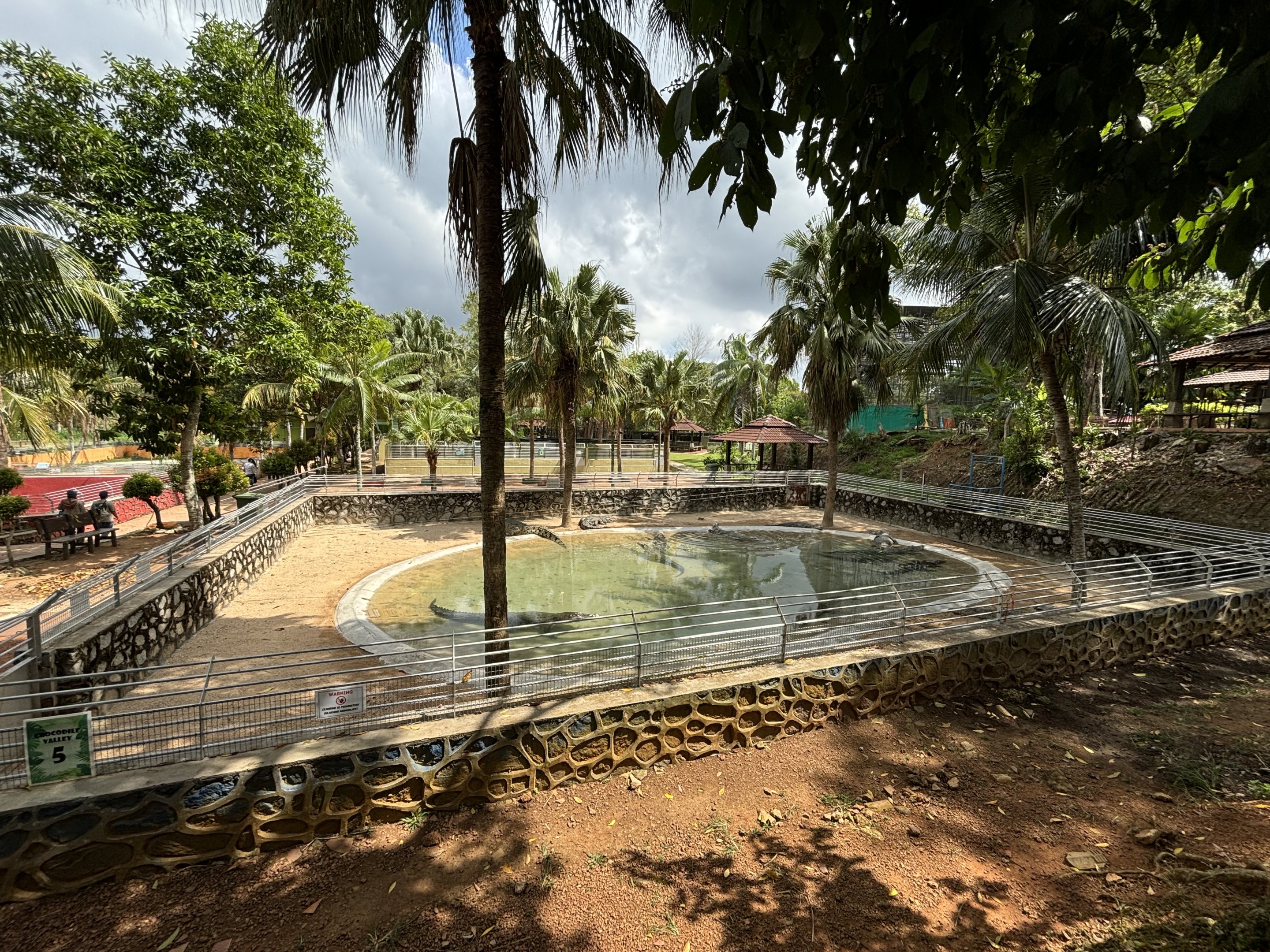 Saltwater Crocodile Exhibit