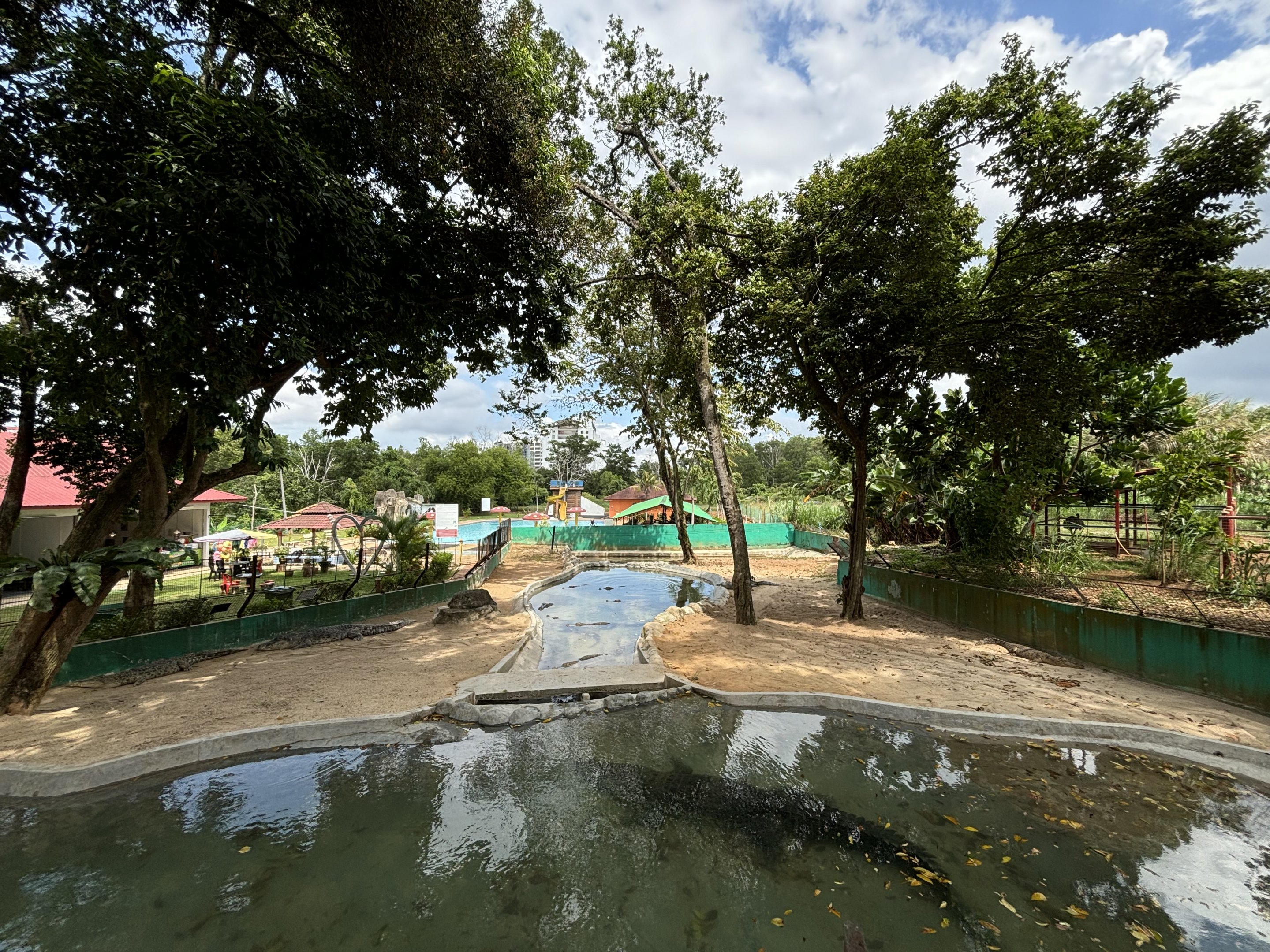 Saltwater Crocodile Exhibit